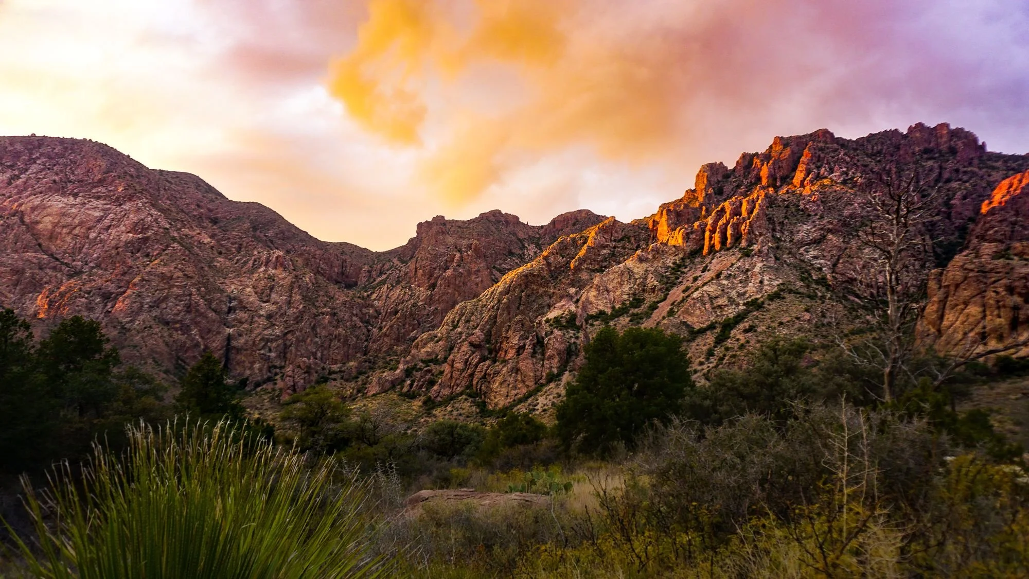 DesignsByMeghen_Print Worthy 2022_WEB-5.jpg