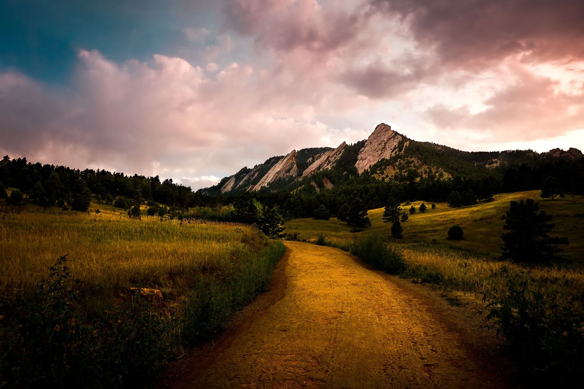 DesignsByMeghen_Print Worthy 2020_WEB-4.jpg