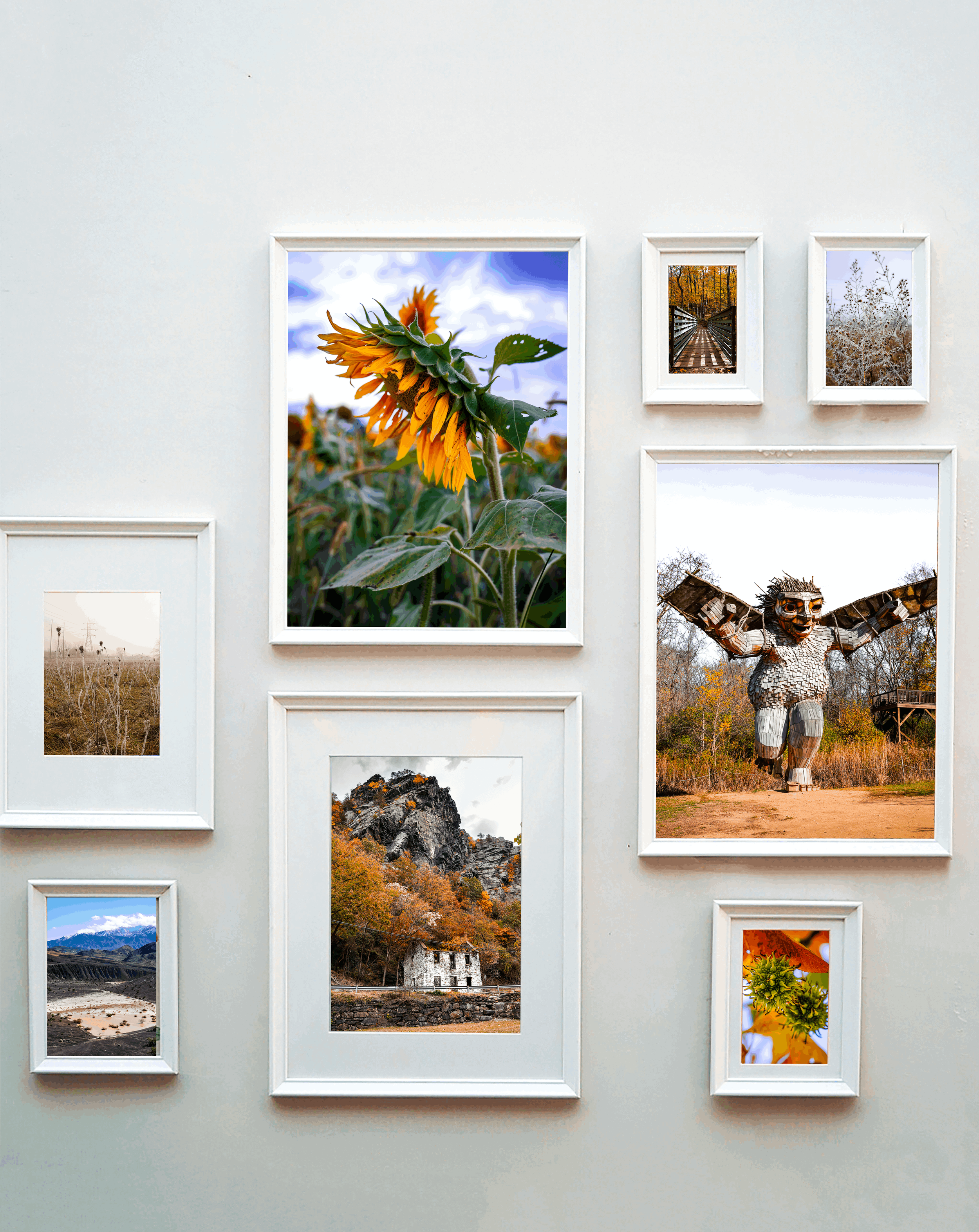 DesignsByMeghen-WEB_White Frames.png