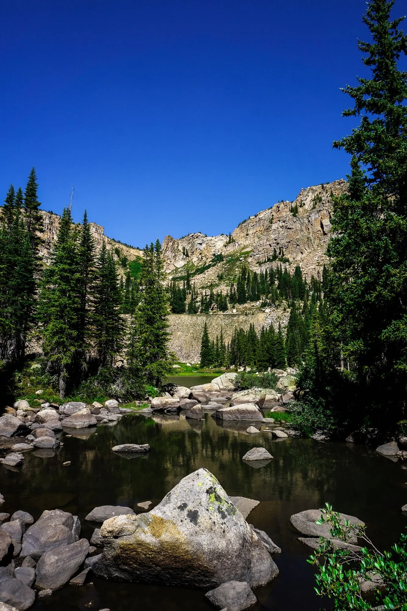 DesignsByMeghen_Print Worthy 2020_WEB-5.jpg