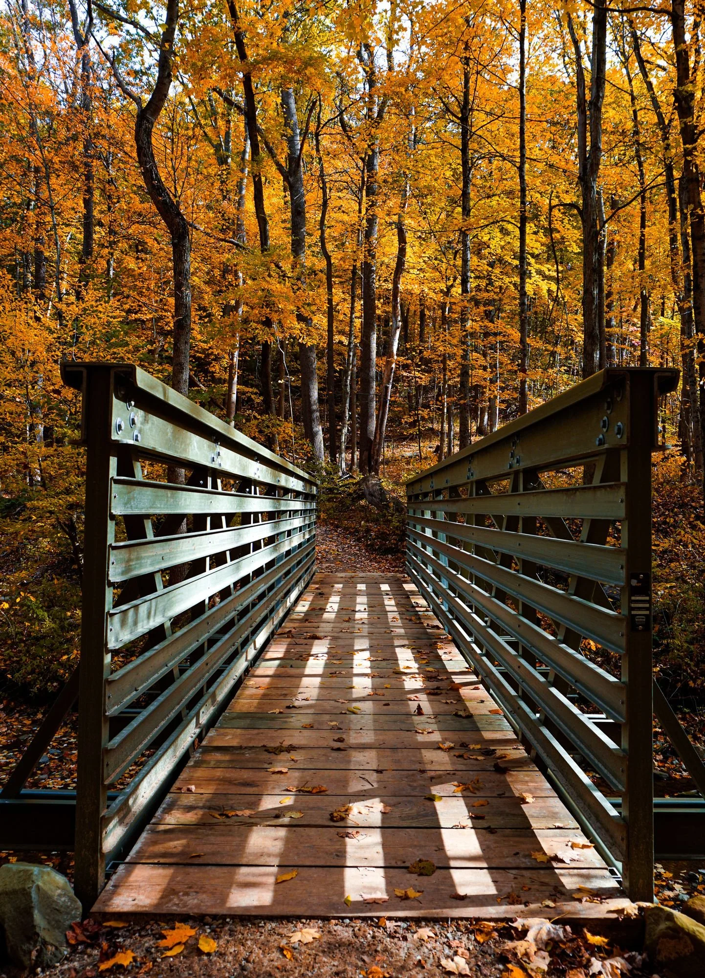 DesignsByMeghen_Print Worthy 2022_WEB-1.jpg