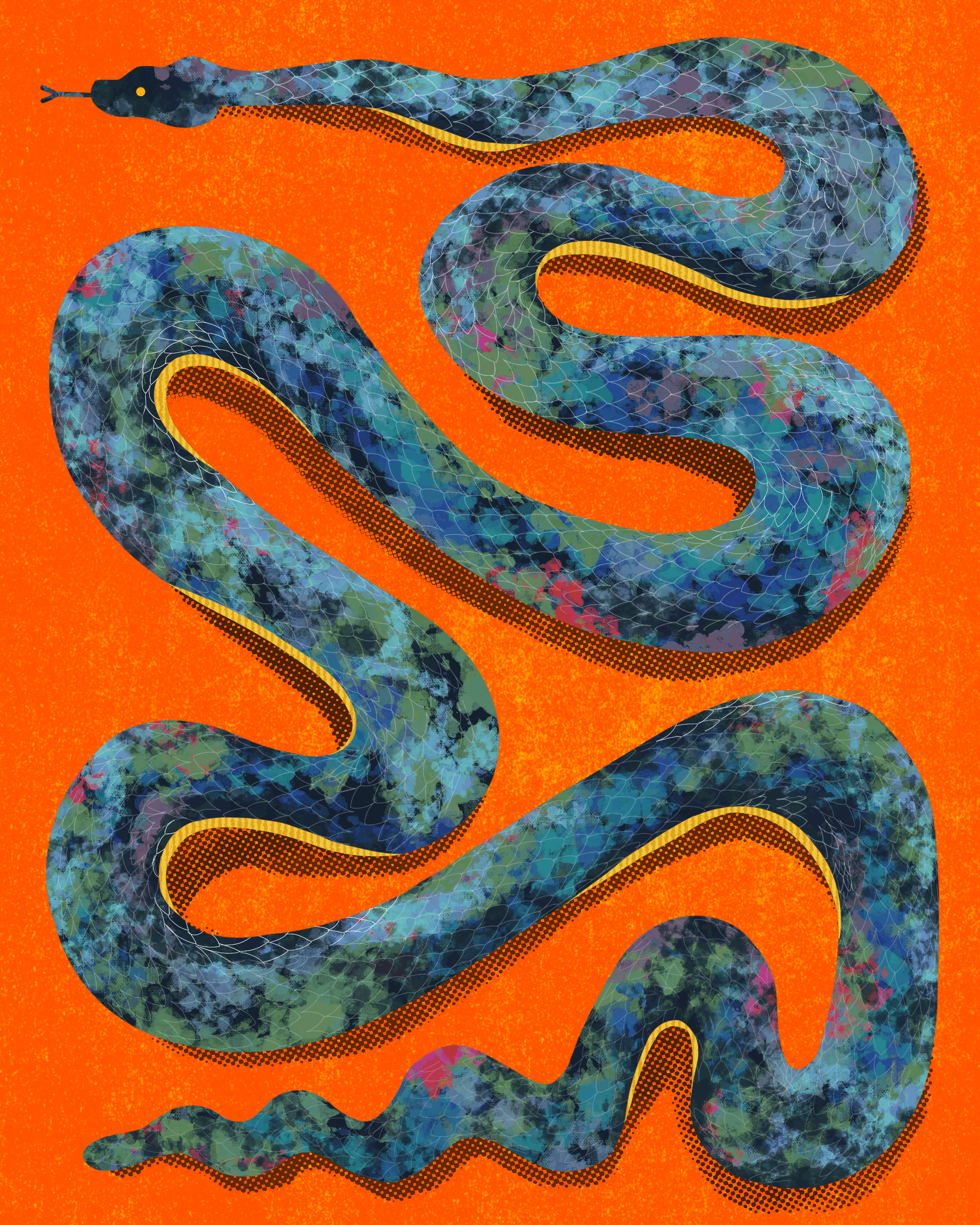Snake 019