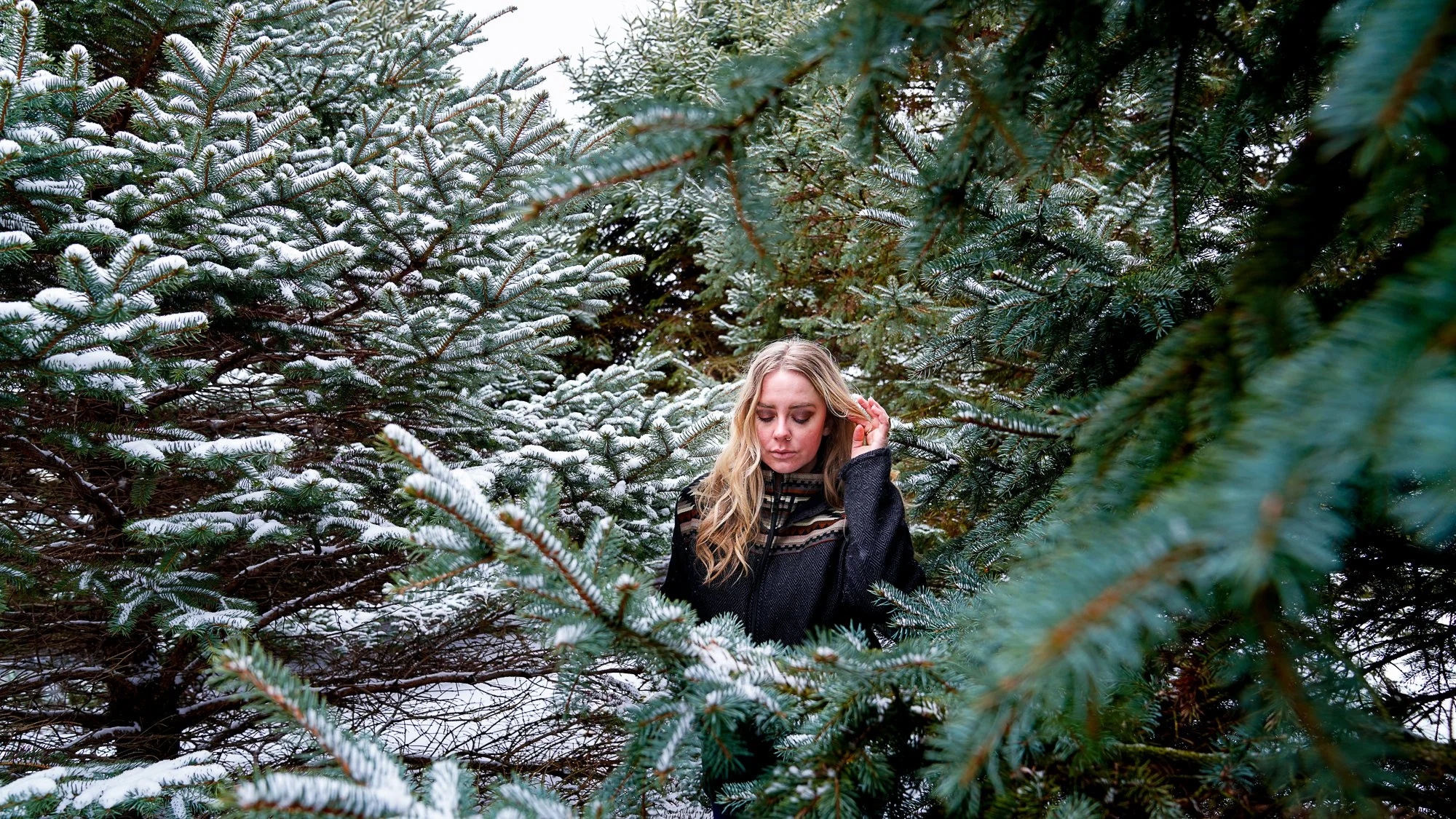 February Snow Pine Portraits-5.jpg