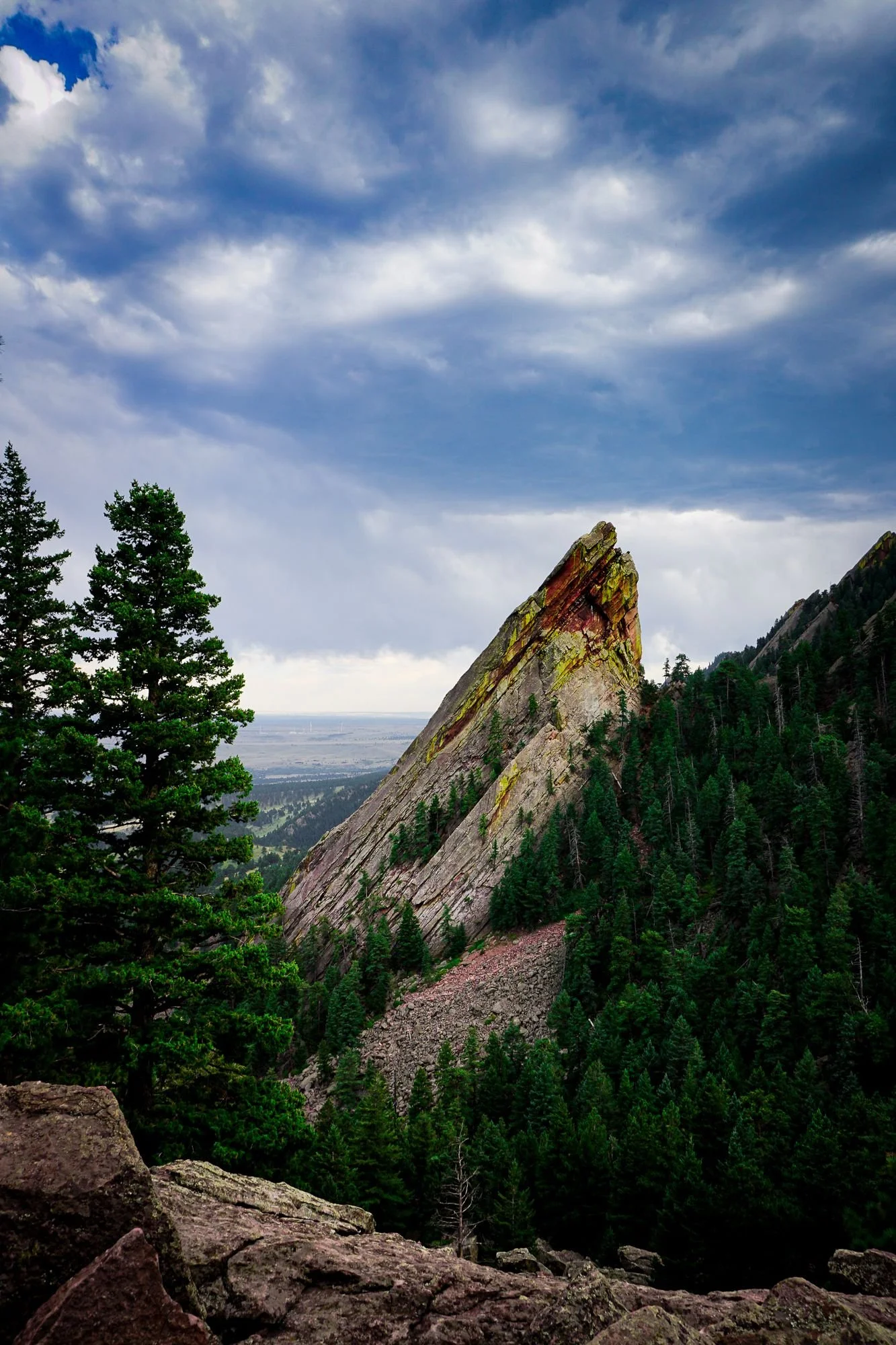 DesignsByMeghen_Print Worthy 2020_WEB-3.jpg