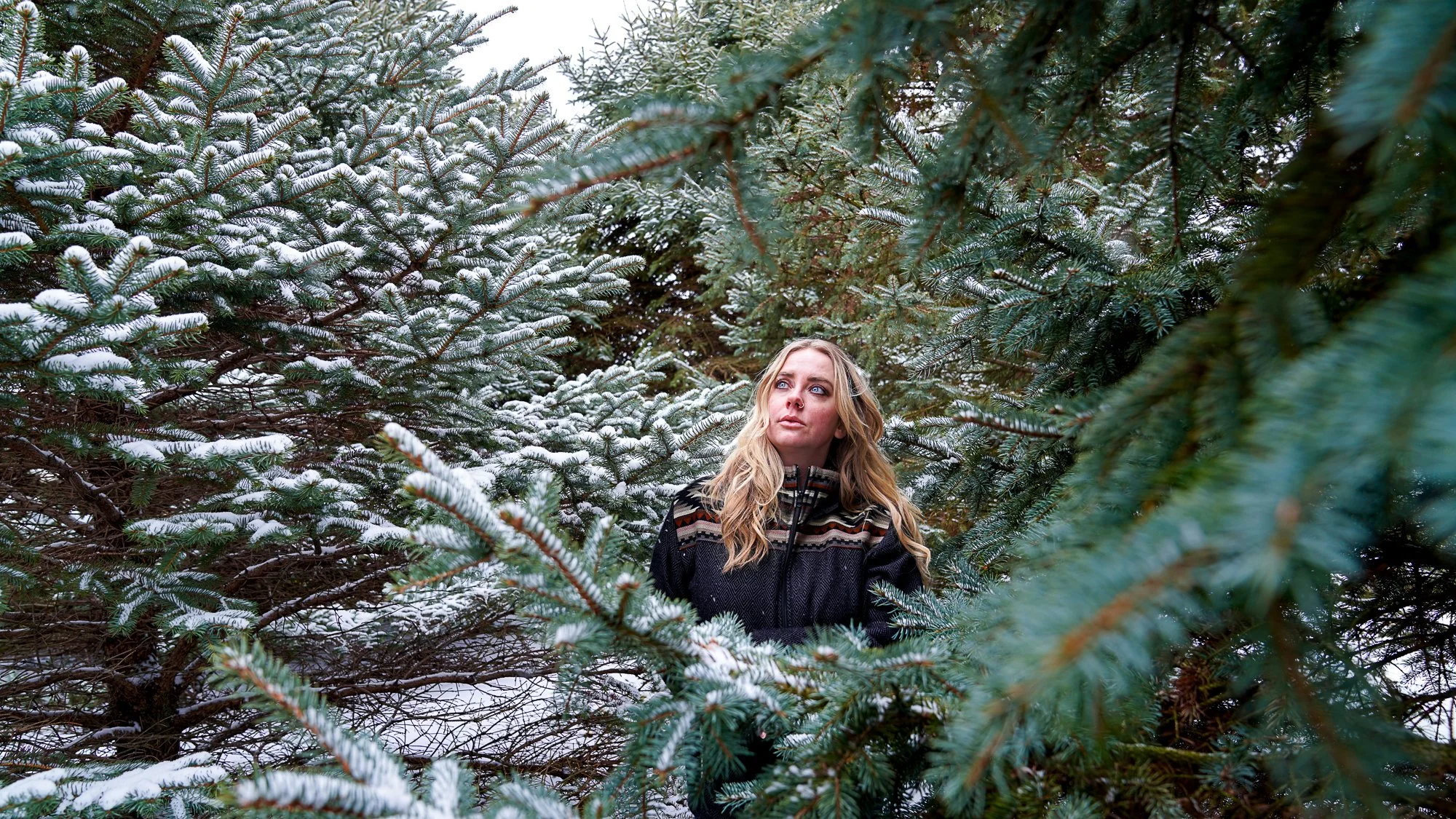 February Snow Pine Portraits-3.jpg