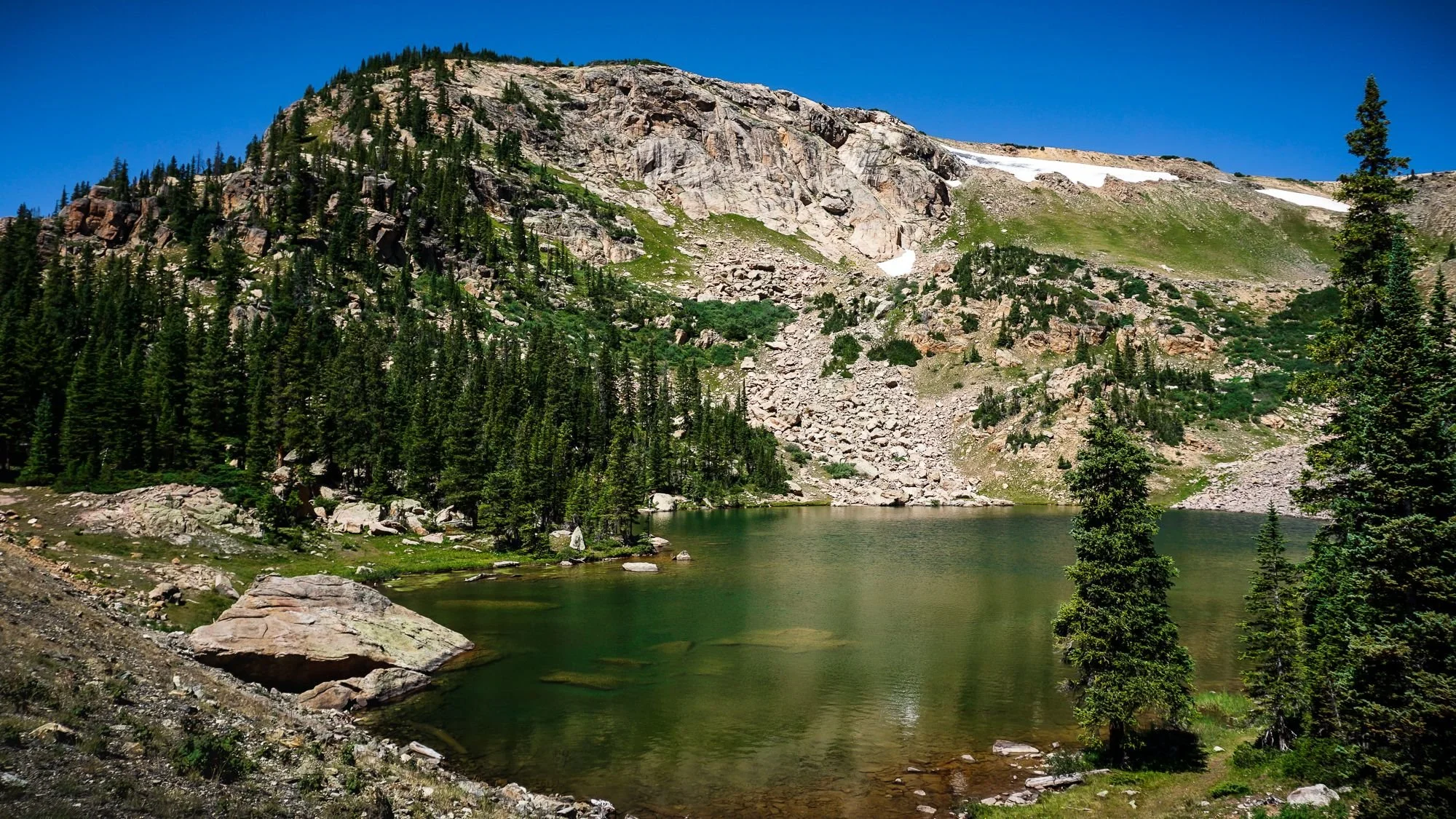 DesignsByMeghen_Print Worthy 2020_WEB-6.jpg