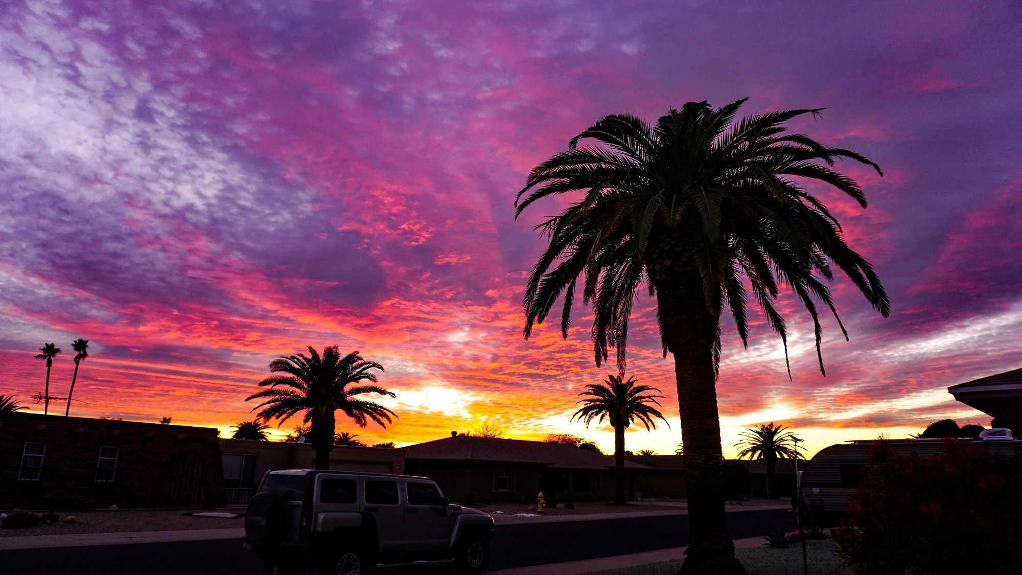 Painted Sunset  //  Sun City, AZ