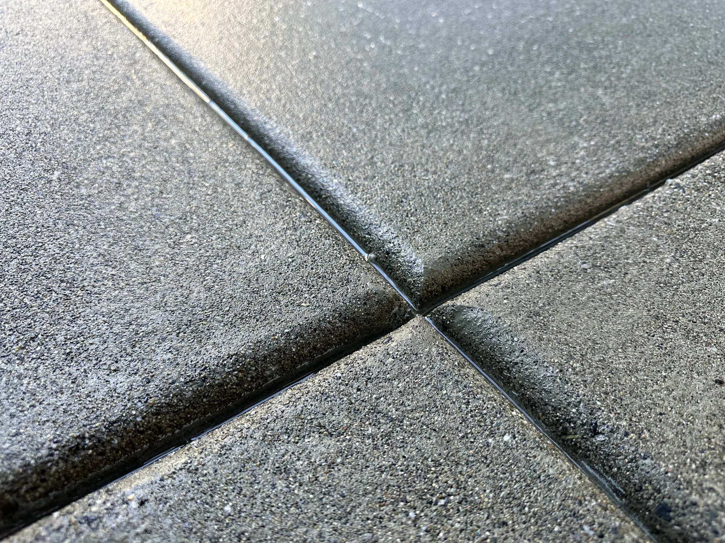 Concrete Patio Installation in Victory Heights Seattle, WA - Custom Backyard Project