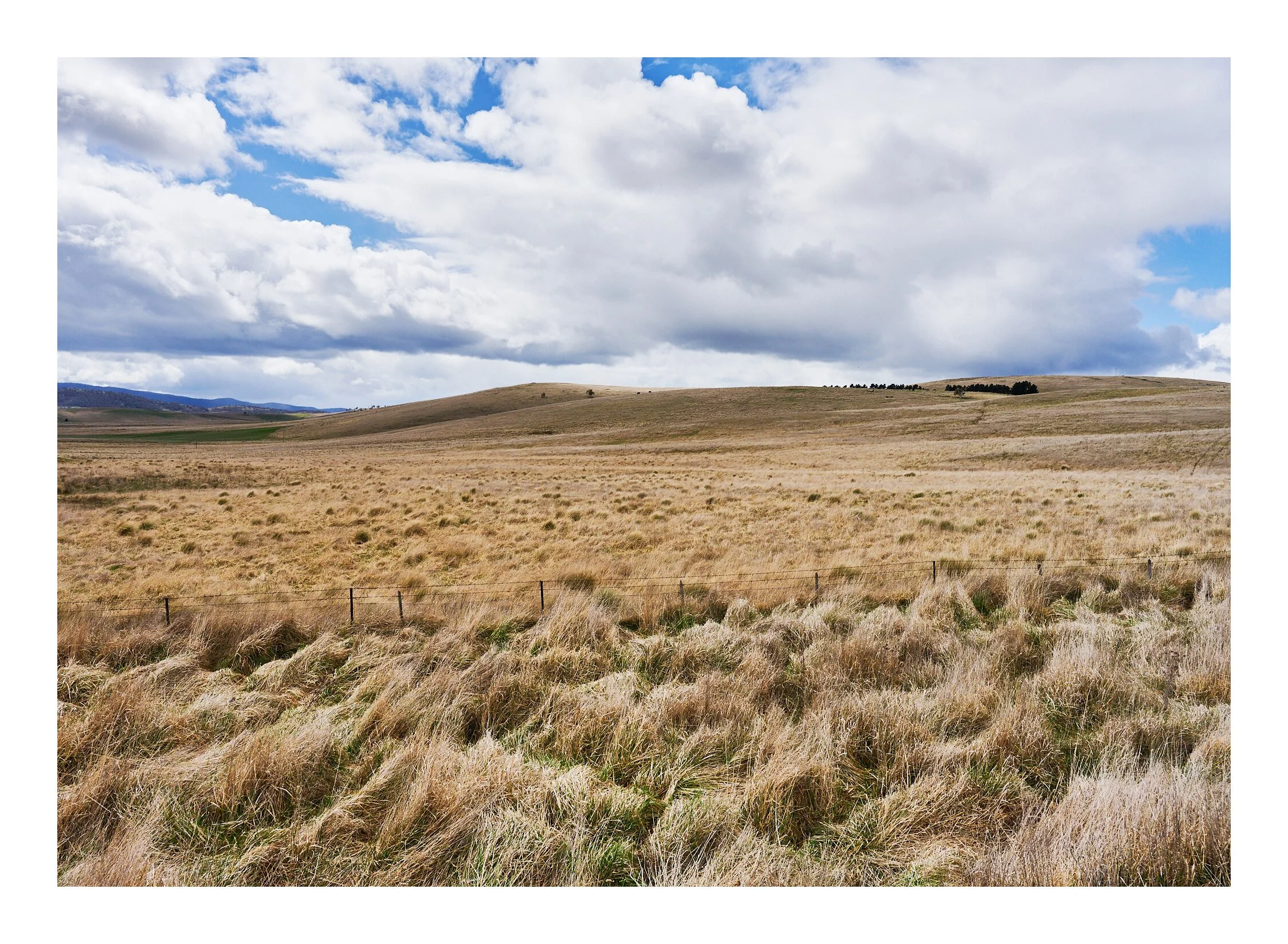 Plains of Adaminaby NSW.jpg