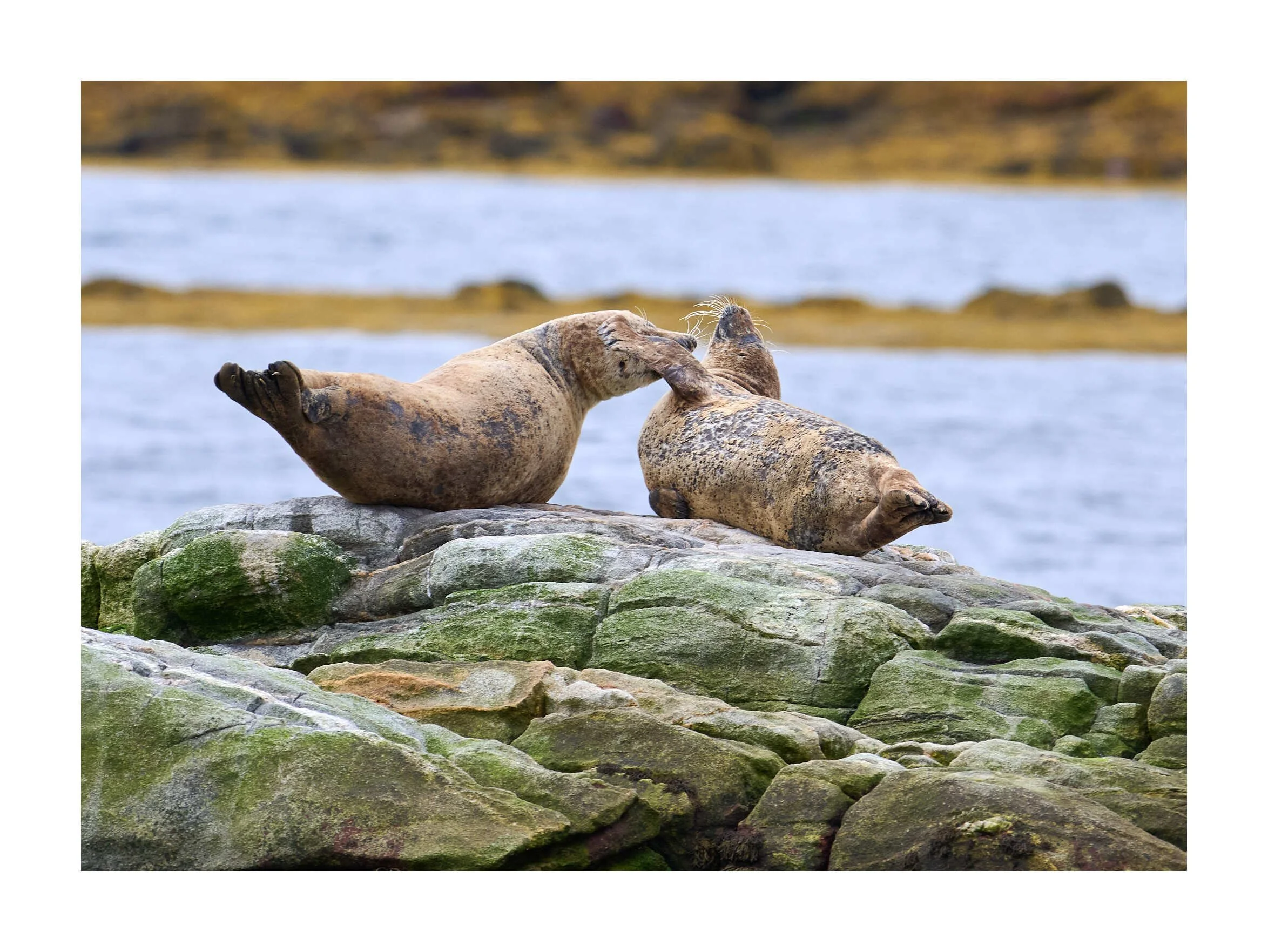 23-09-13 - Berneray North Uist 12.jpg