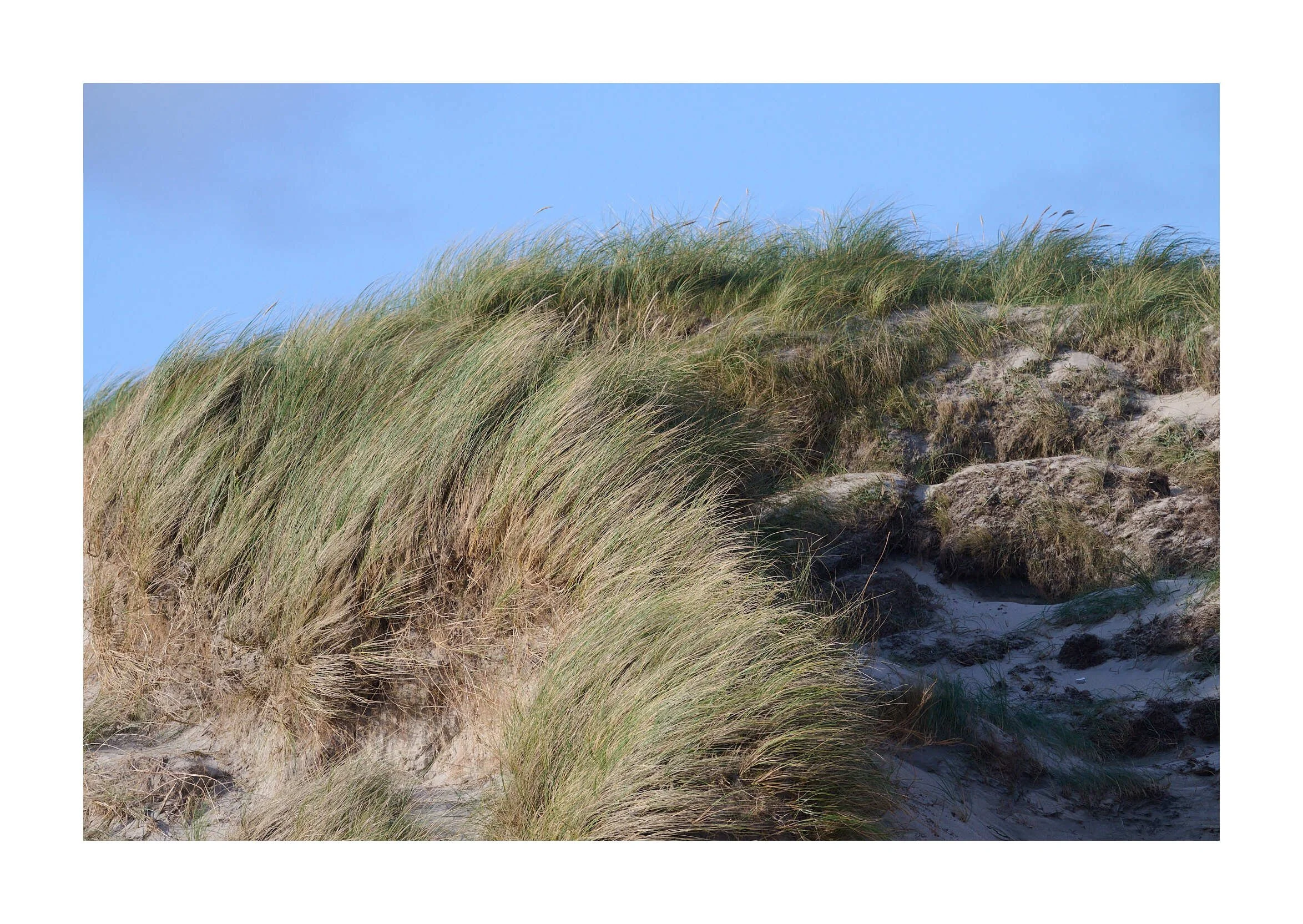 23-09-14 - North Uist Baleshare Beach 17 1.jpg