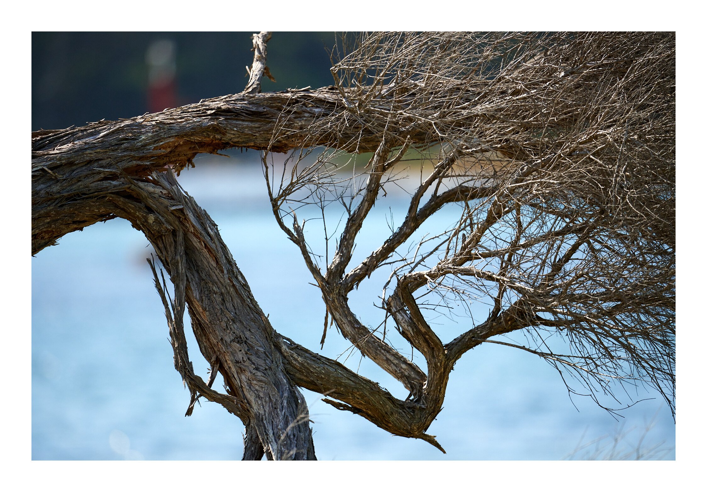 Narooma Mar 24 2023 0951 1.jpg