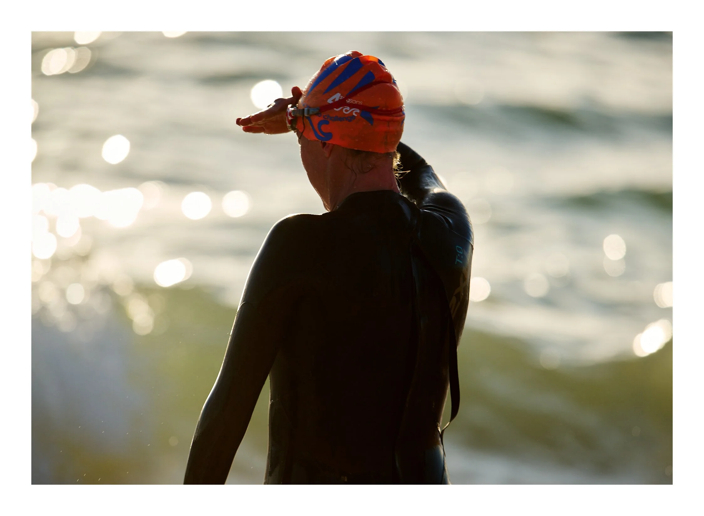 Searching Toowoon Bay NSW.jpg