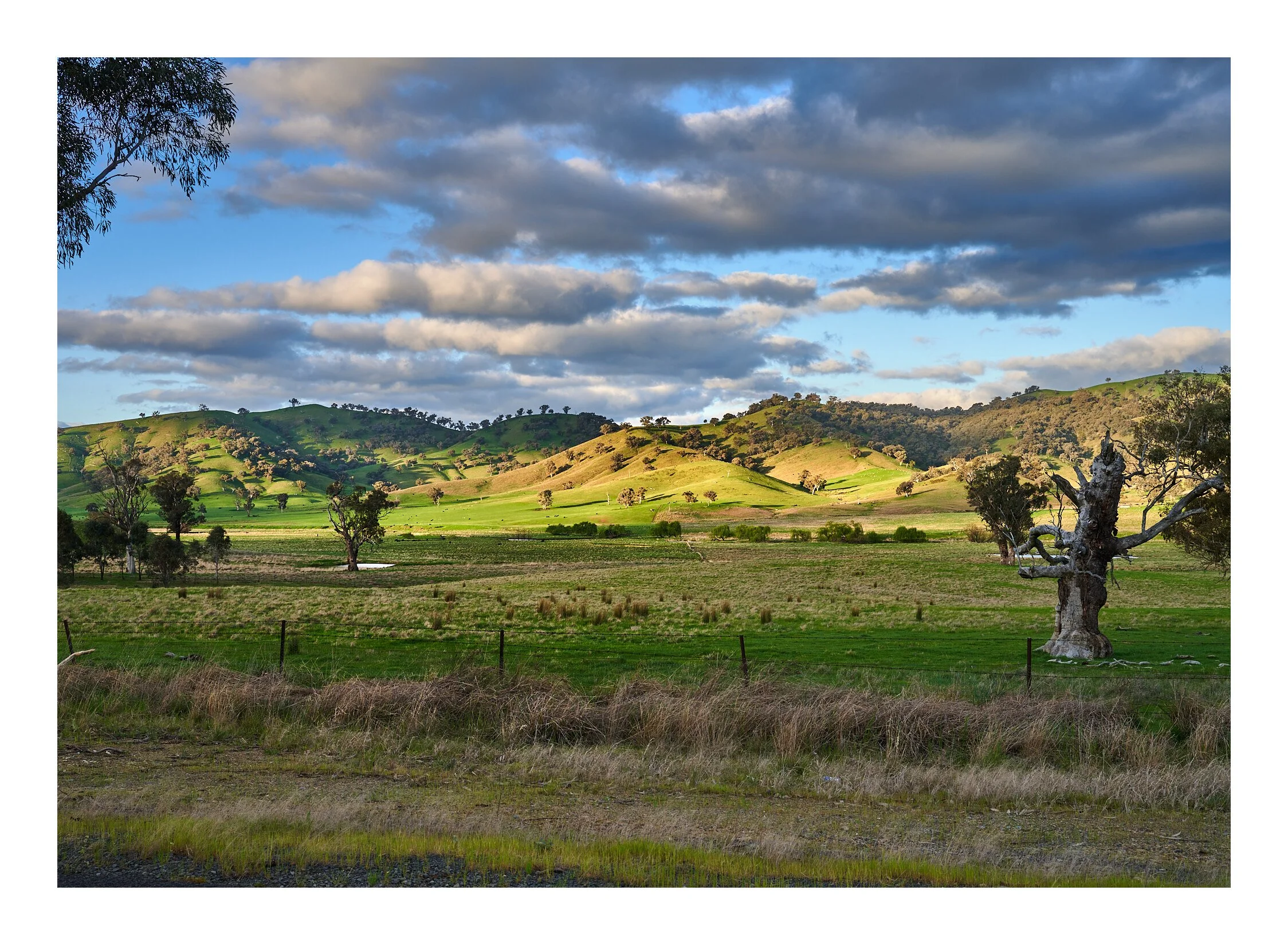 Adelong Valley Hills NSW.jpg