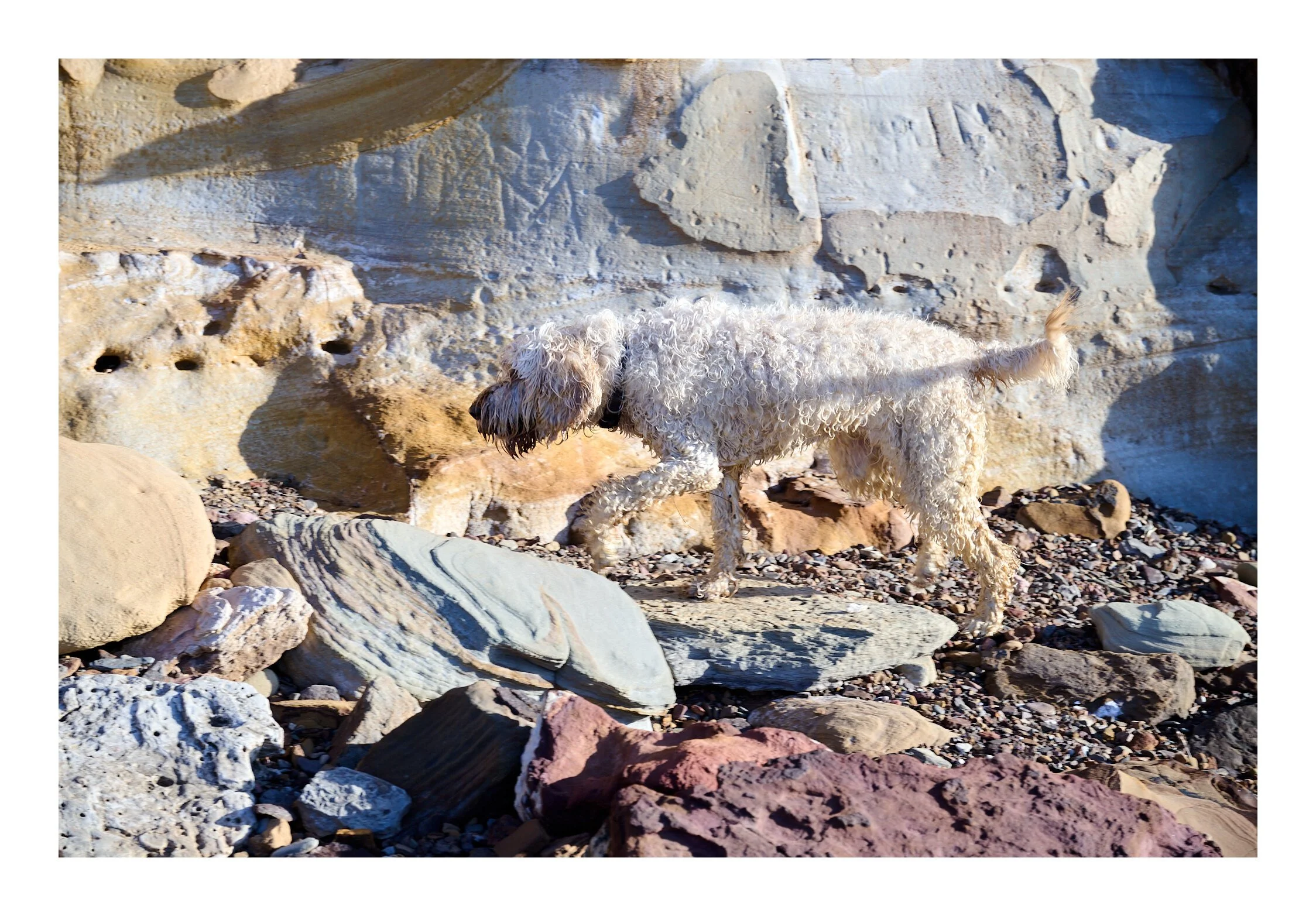 MacMasters Beach July 2023 - 090.jpg