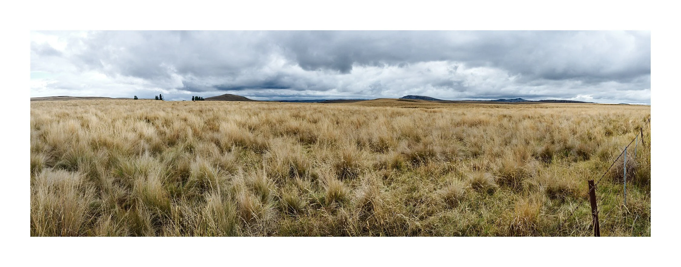 Narooma - Mar 25 2023 - 1537_Panorama.jpg