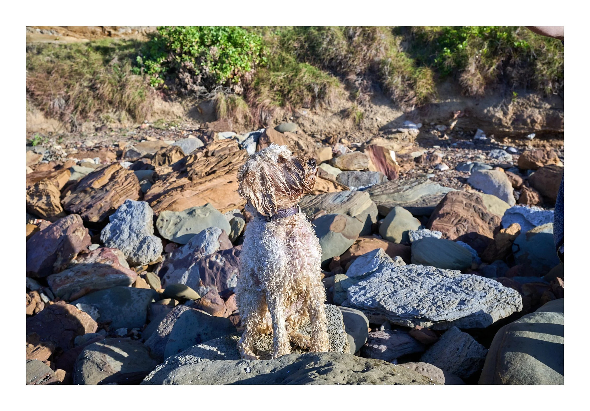 MacMasters Beach July 2023 - 089.jpg