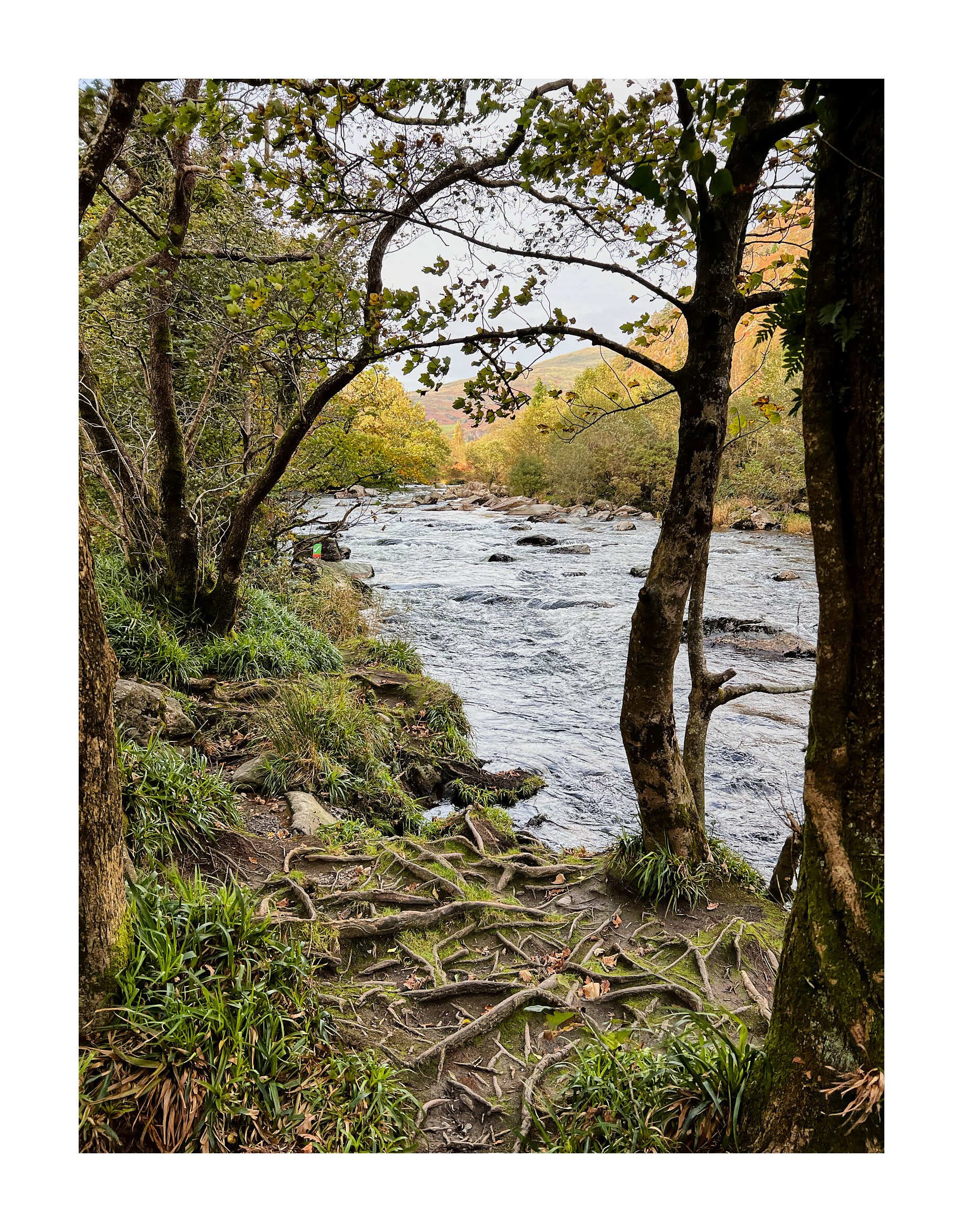 23-10-10 - Beddgelert 17.jpg