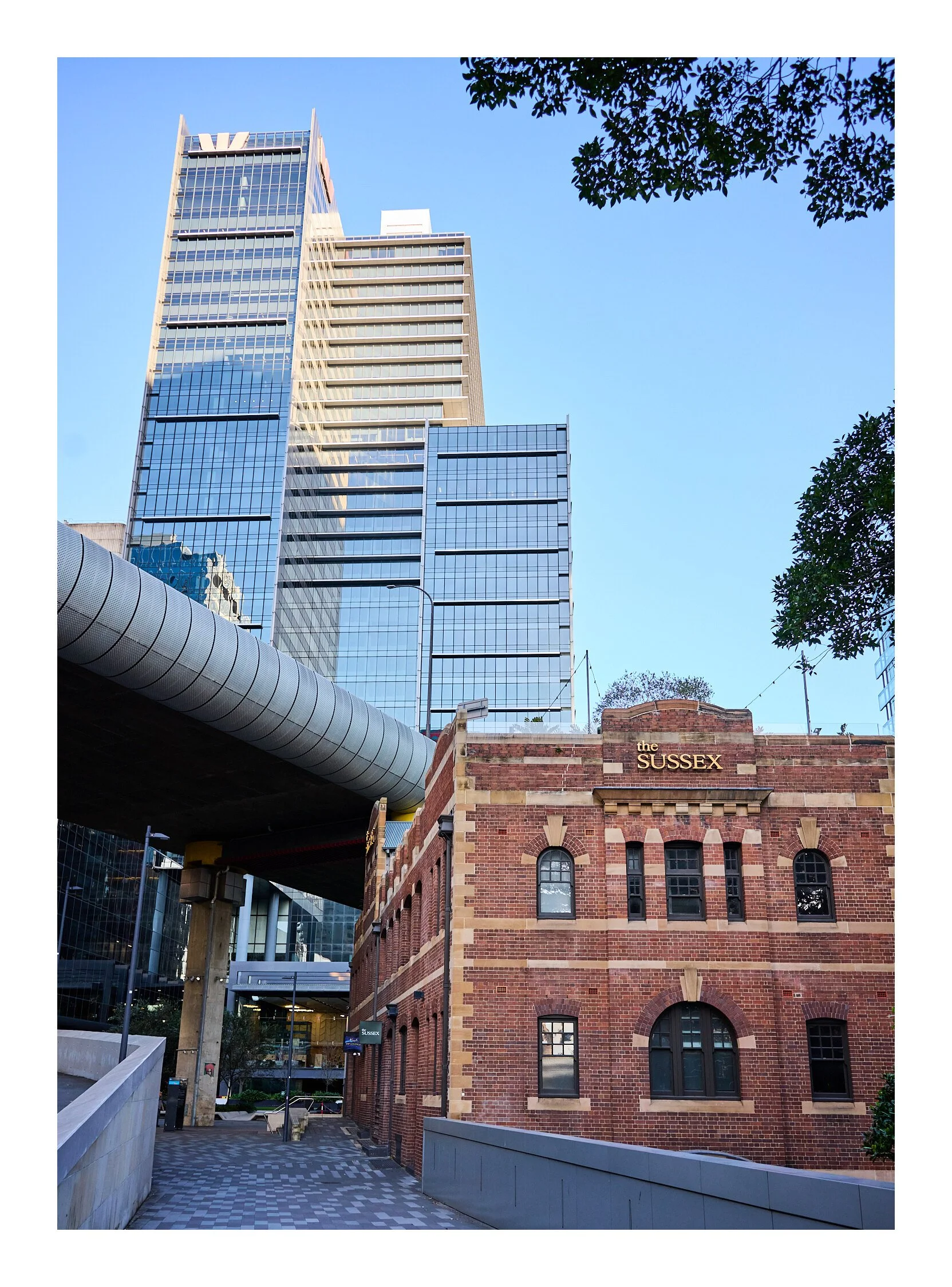 Sydney City July 9 2023   41.jpg