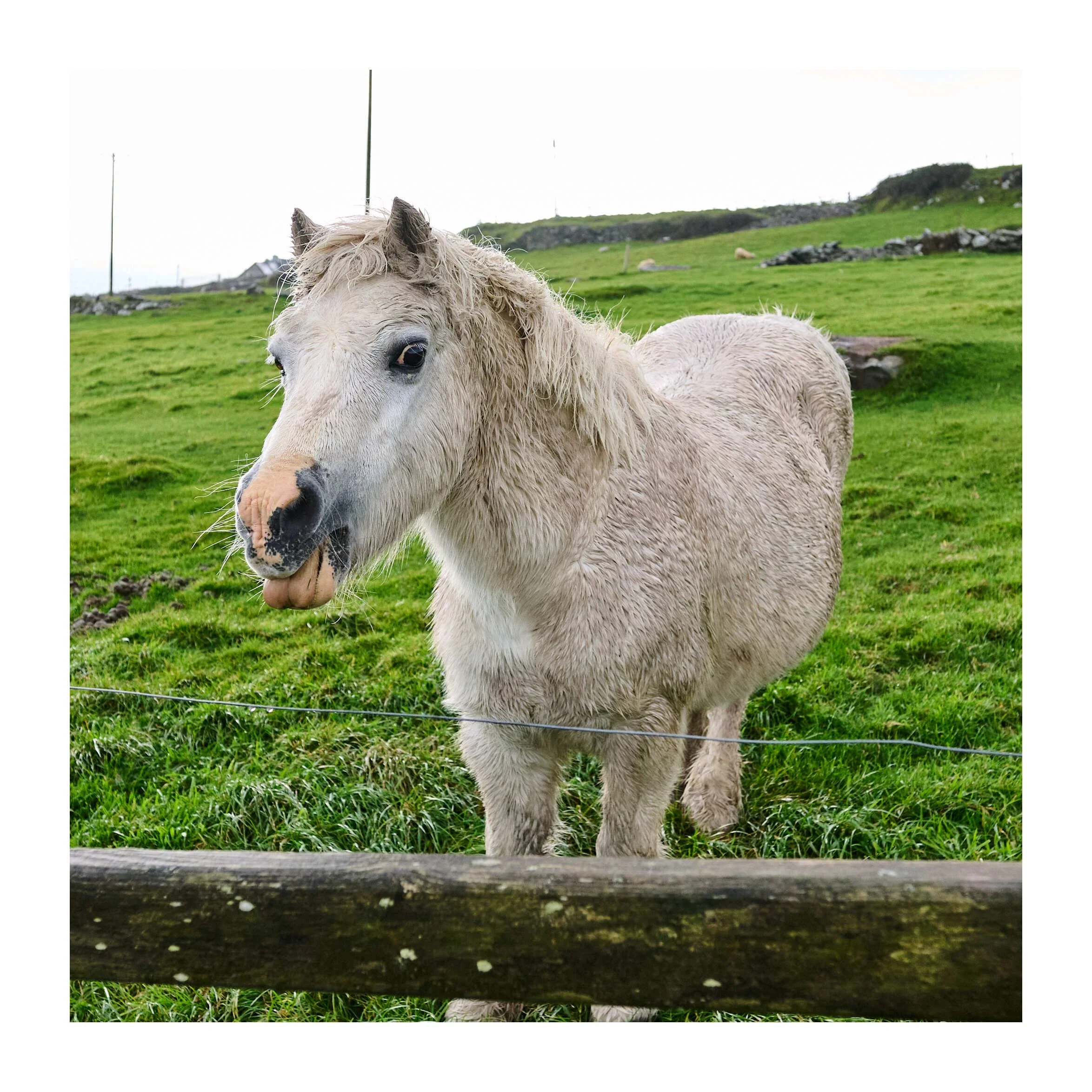 23-09-28 - Dingle - Cashel 4.jpg