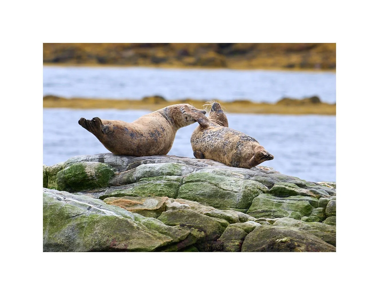 23-09-13 - Berneray North Uist 12.jpg