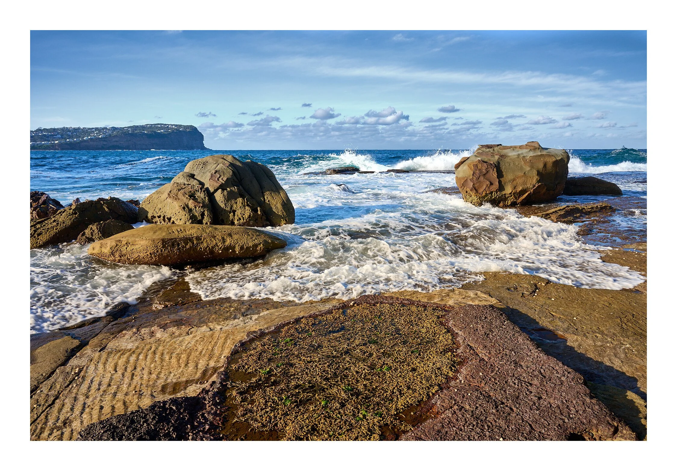 MacMasters Beach July 2023 - 076.jpg