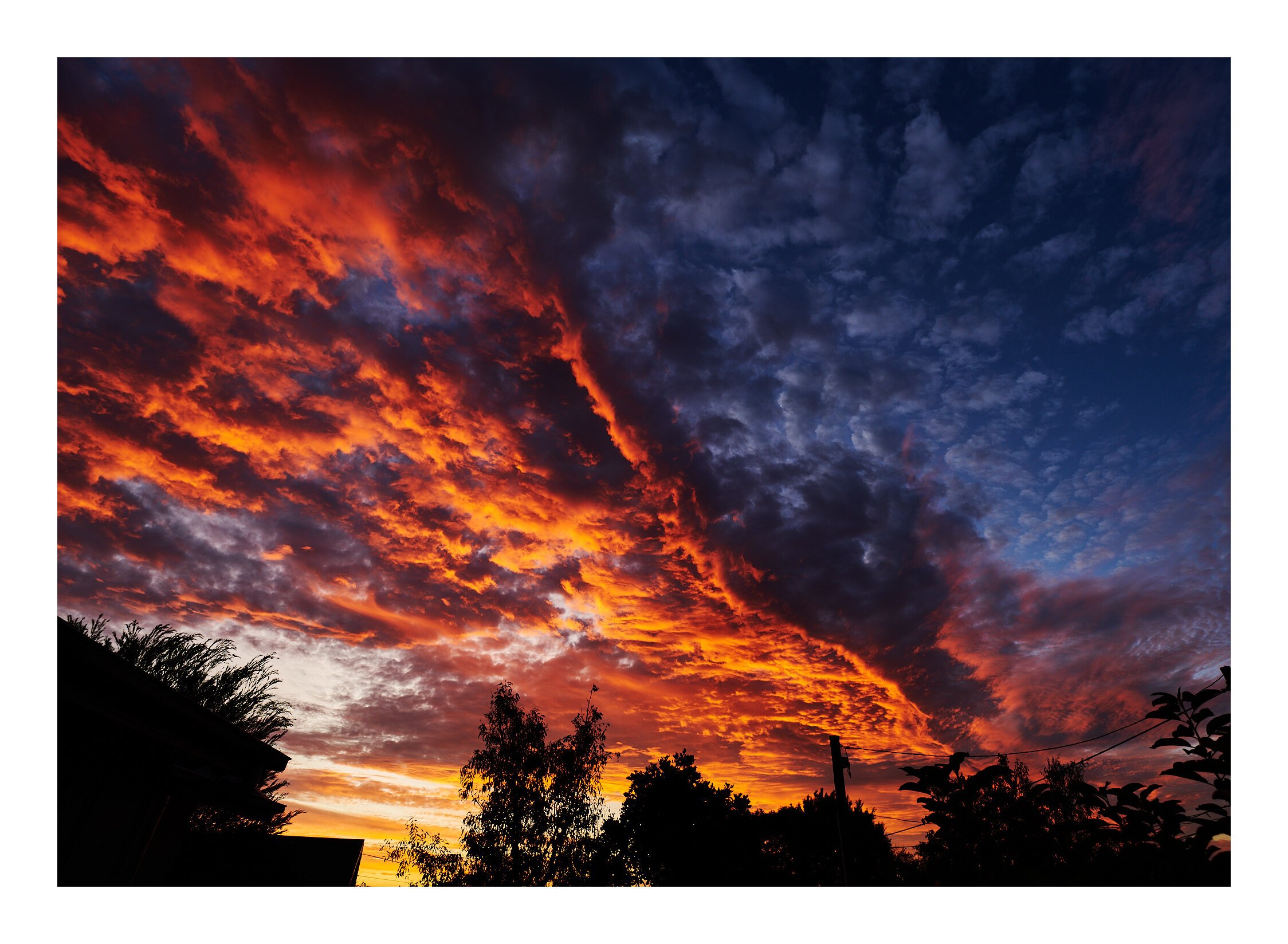 Dragon Sky Moorooka QLD.jpg