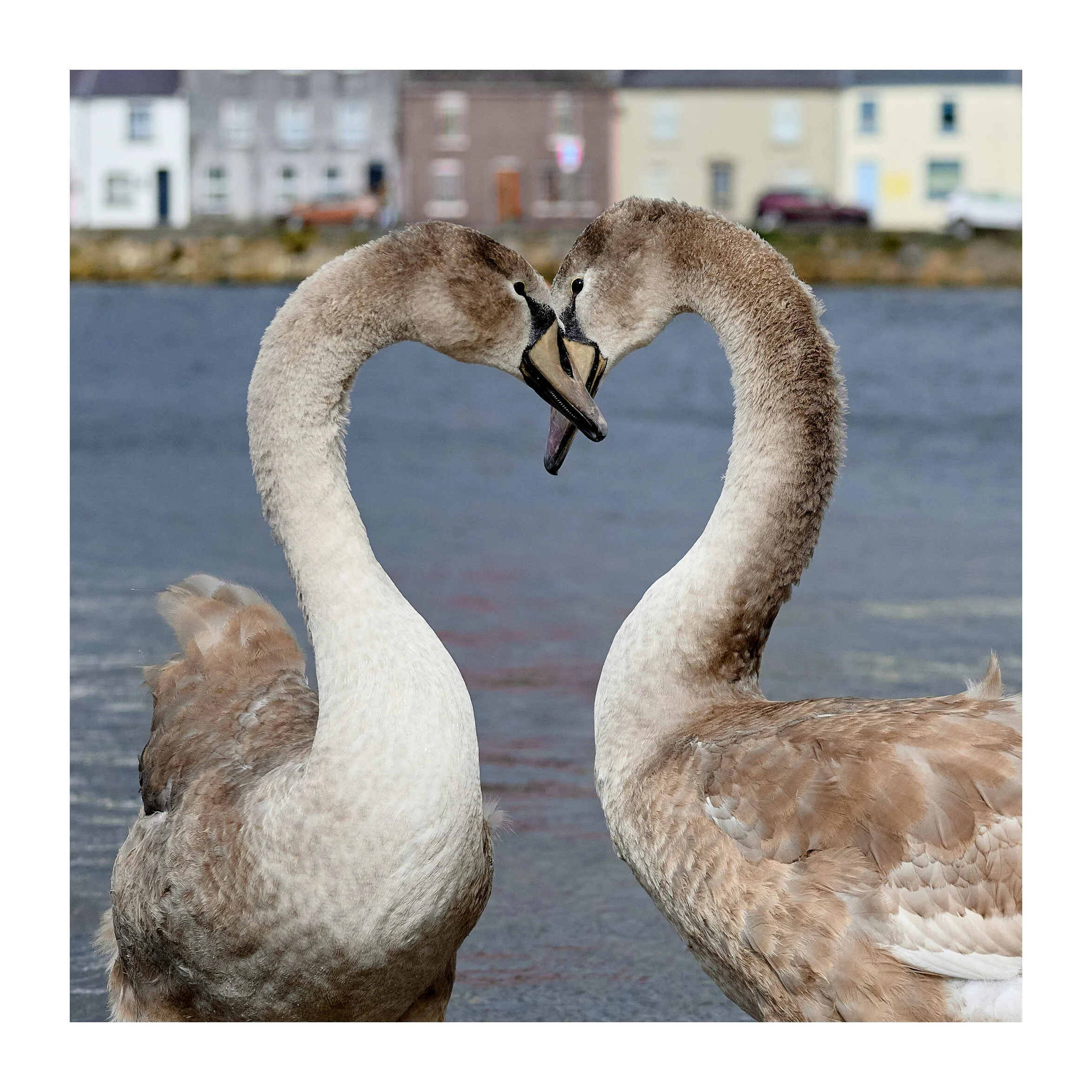 23-09-25 - Galway 46.jpg