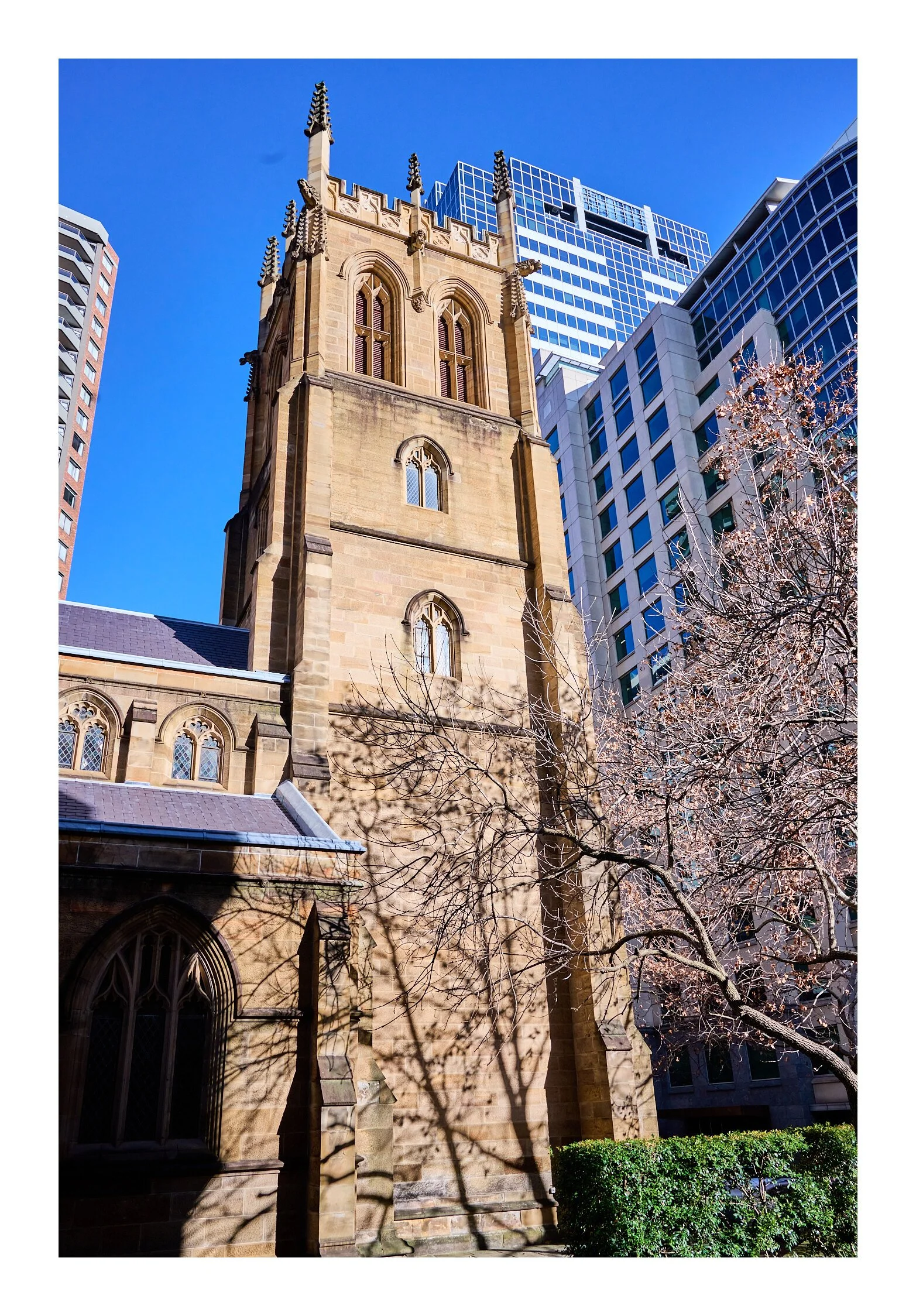 Sydney City July 9 2023   32.jpg