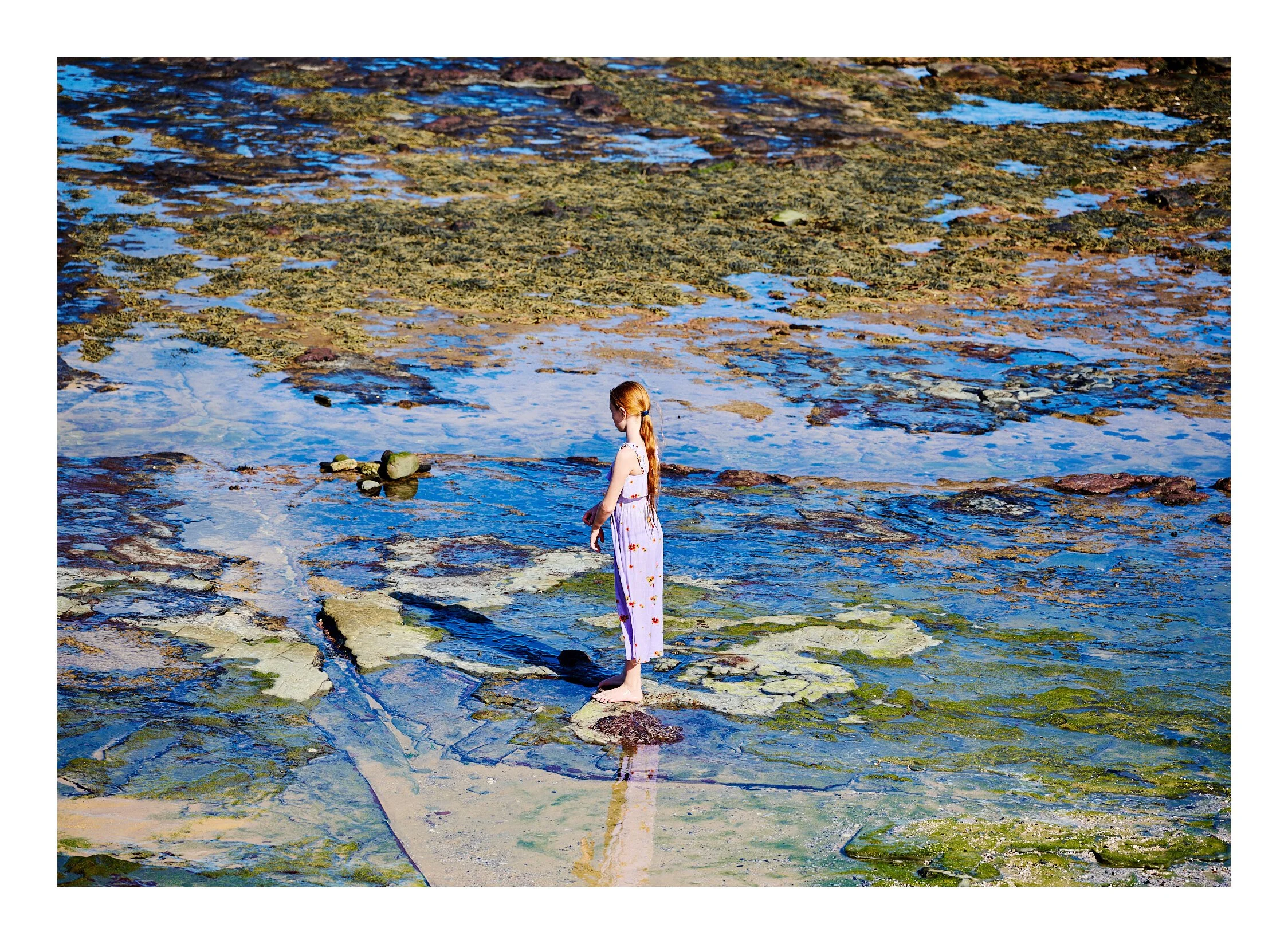 Reflections Shelly Beach NSW.jpg