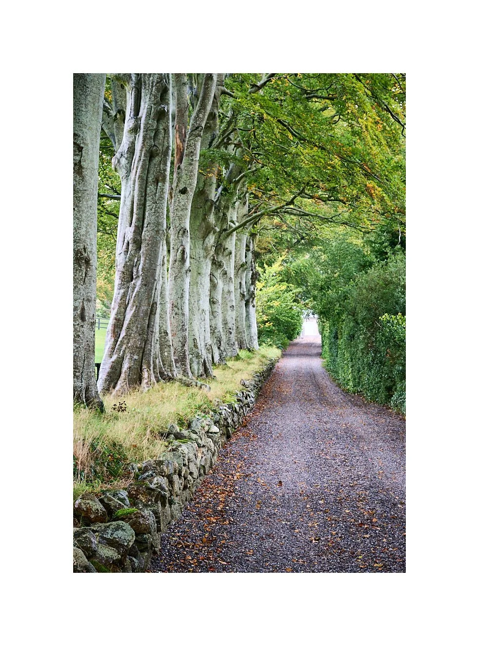 23-10-05 - Wicklow Mountains 22.jpg