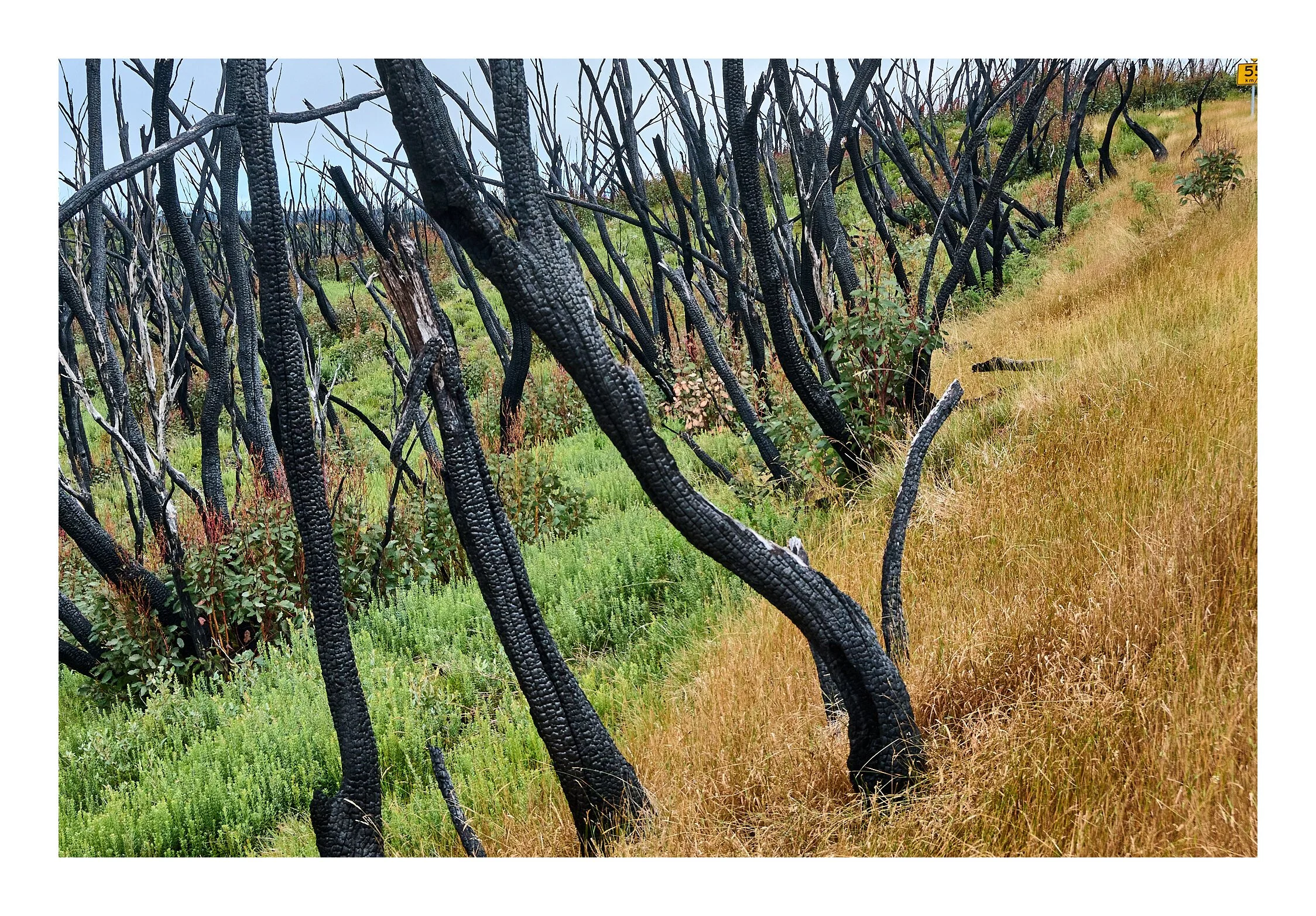 Khancoban - Cabramurra Mar 29 2023 1421.jpg