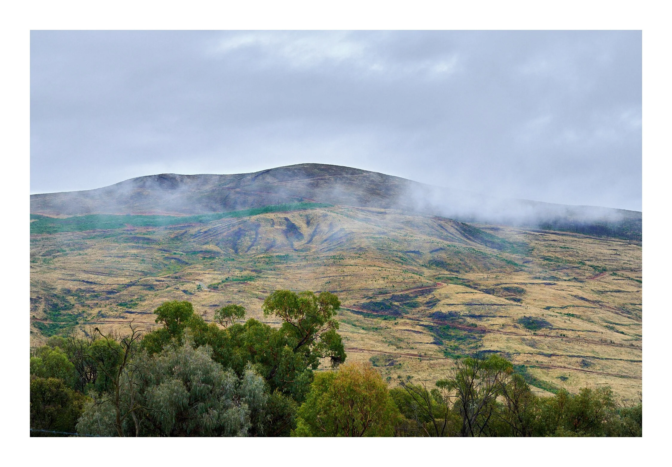 Tumbarumba Mar 29 2023 1462.jpg
