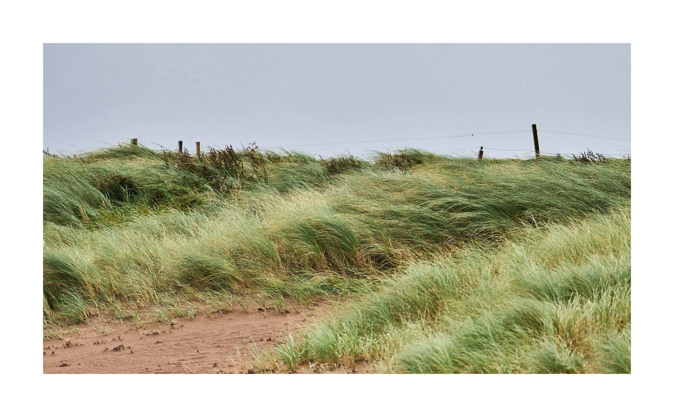 23-09-28 - Dingle - Kilcummin Beach 6.jpg