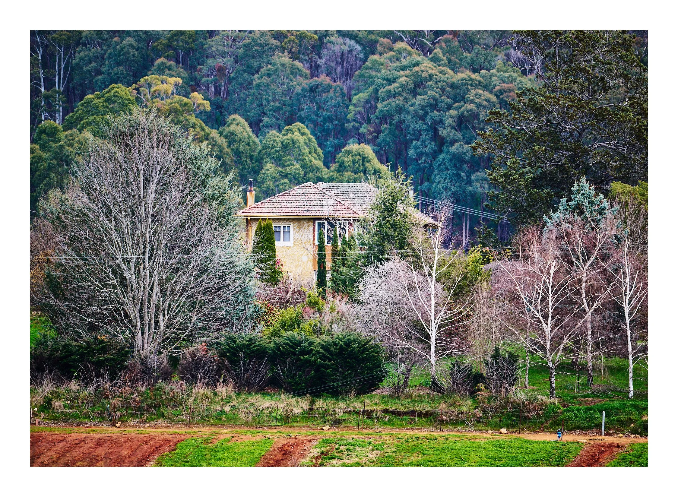 Alta Vila Farm House Batlow NSW.jpg