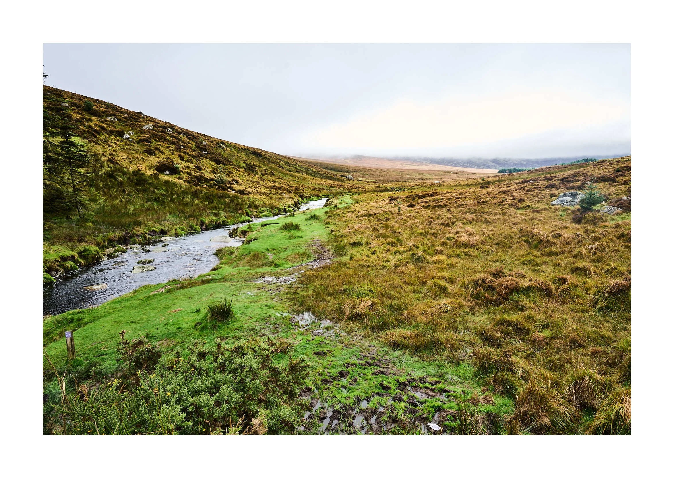 23-10-05 - Wicklow Mountains 44.jpg