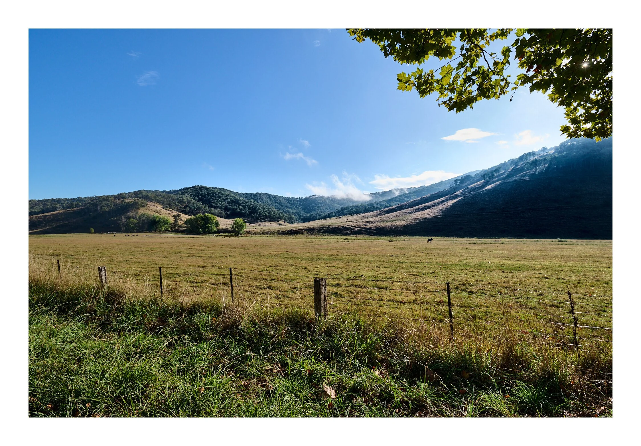 Khancoban - Cabramurra Mar 29 2023 1385.jpg