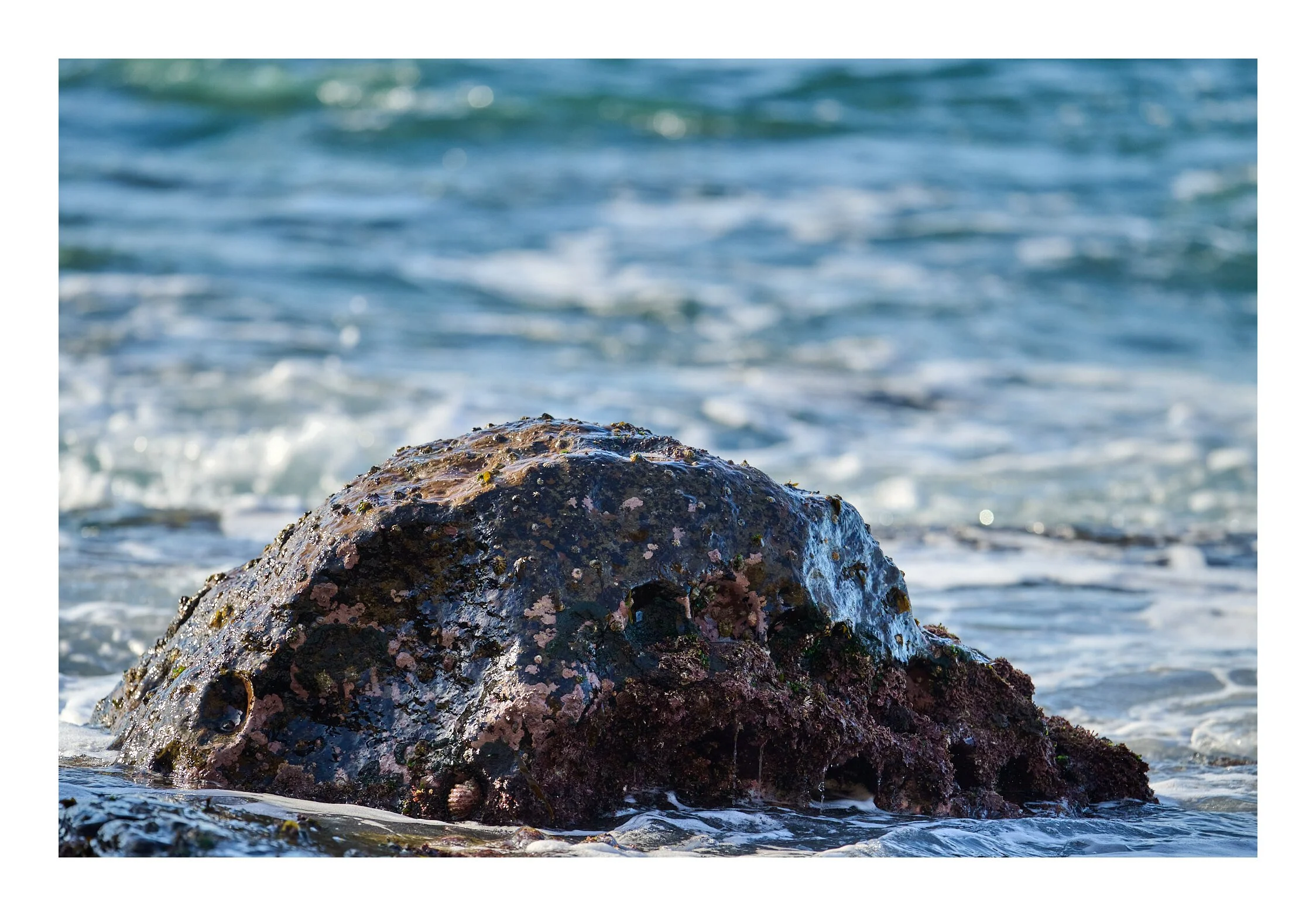 MacMasters Beach July 2023 - 005.jpg