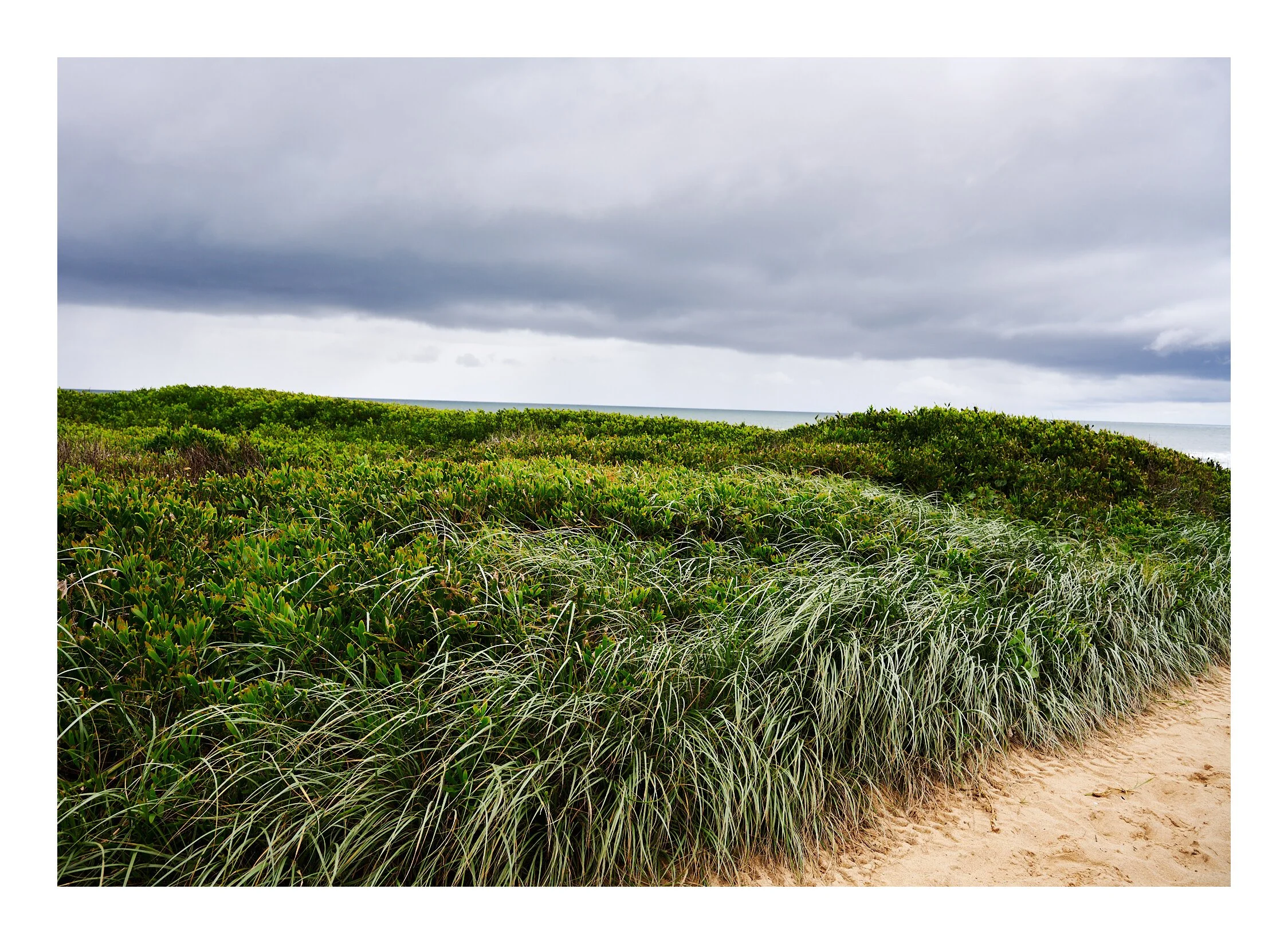 Stanwell Park Beach NSW.jpg