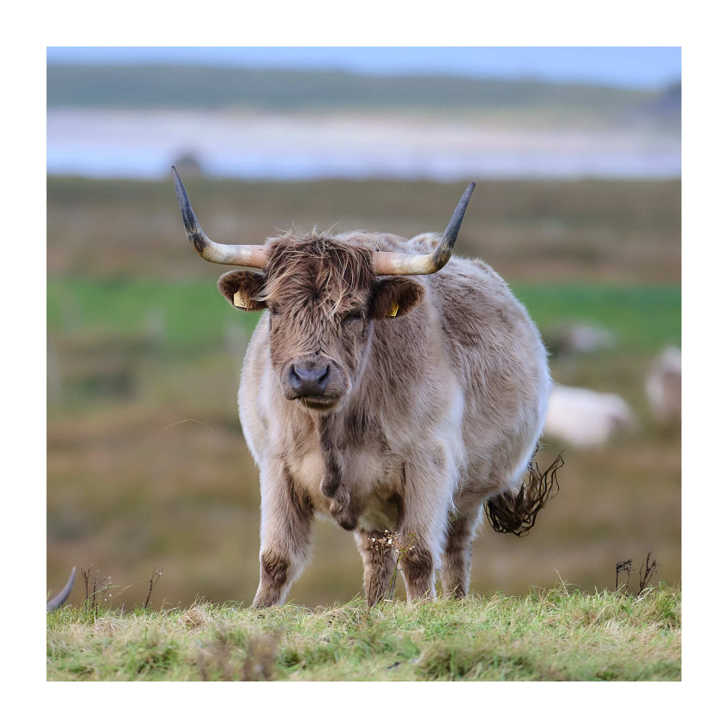 23-09-14 - North Uist Carinish 5.jpg