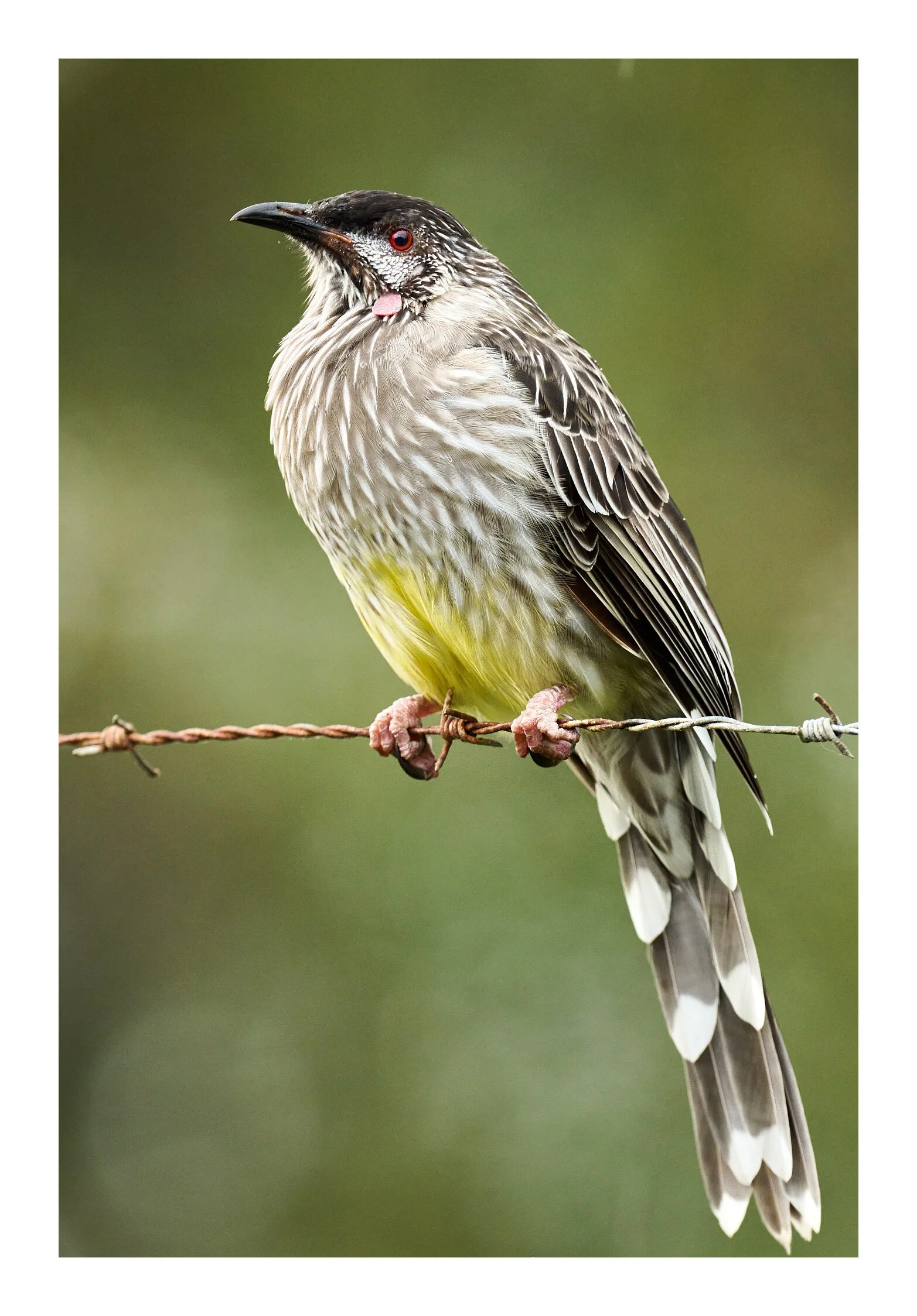 South Coast Mar 23 2023 0429.jpg