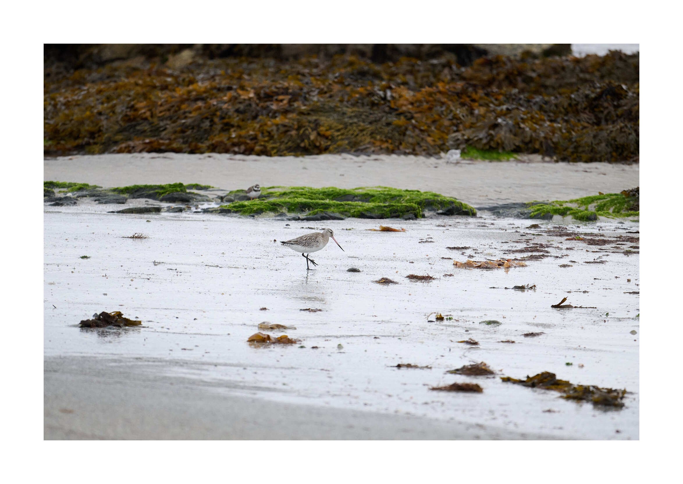 23-09-13 - Berneray North Uist 27.jpg
