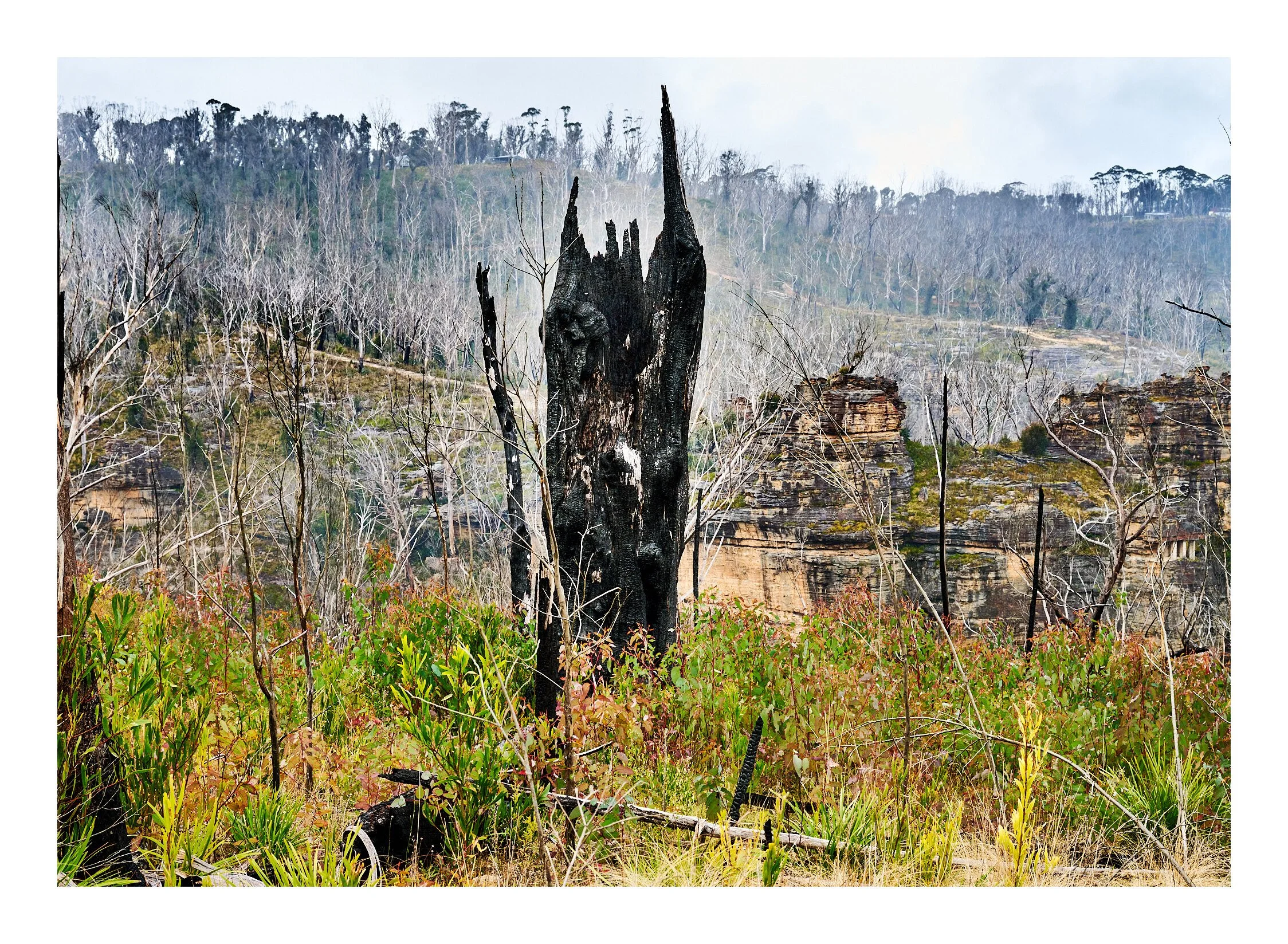 Recovering Lithgow NSW.jpg