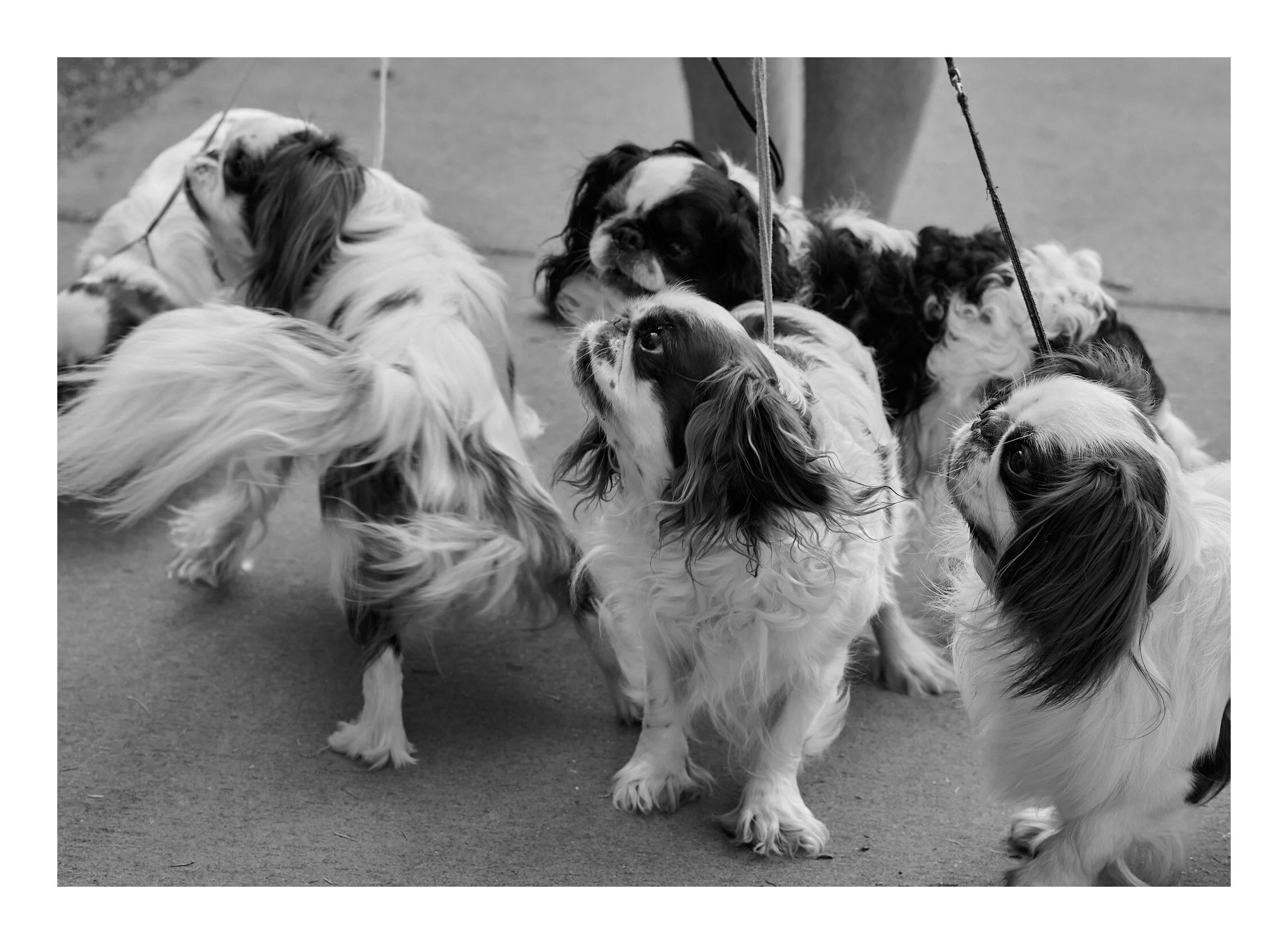 5 Charlies at Coffs Harbour Markets.jpg
