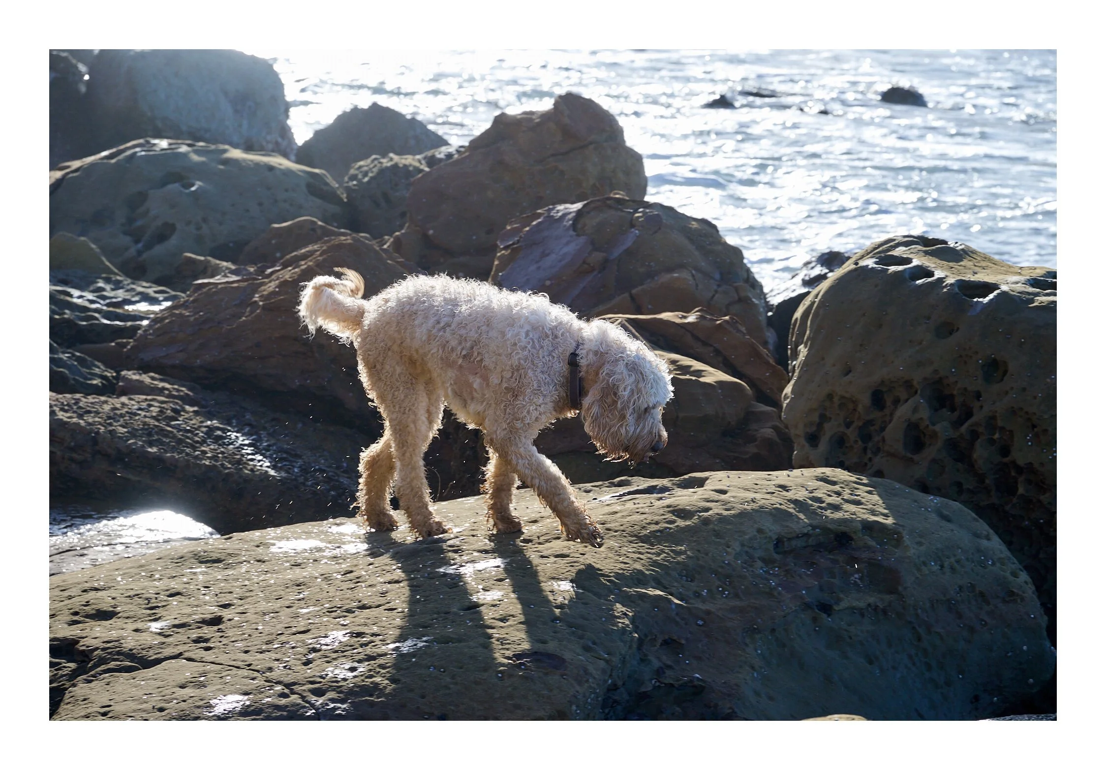 MacMasters Beach July 2023 - 082.jpg