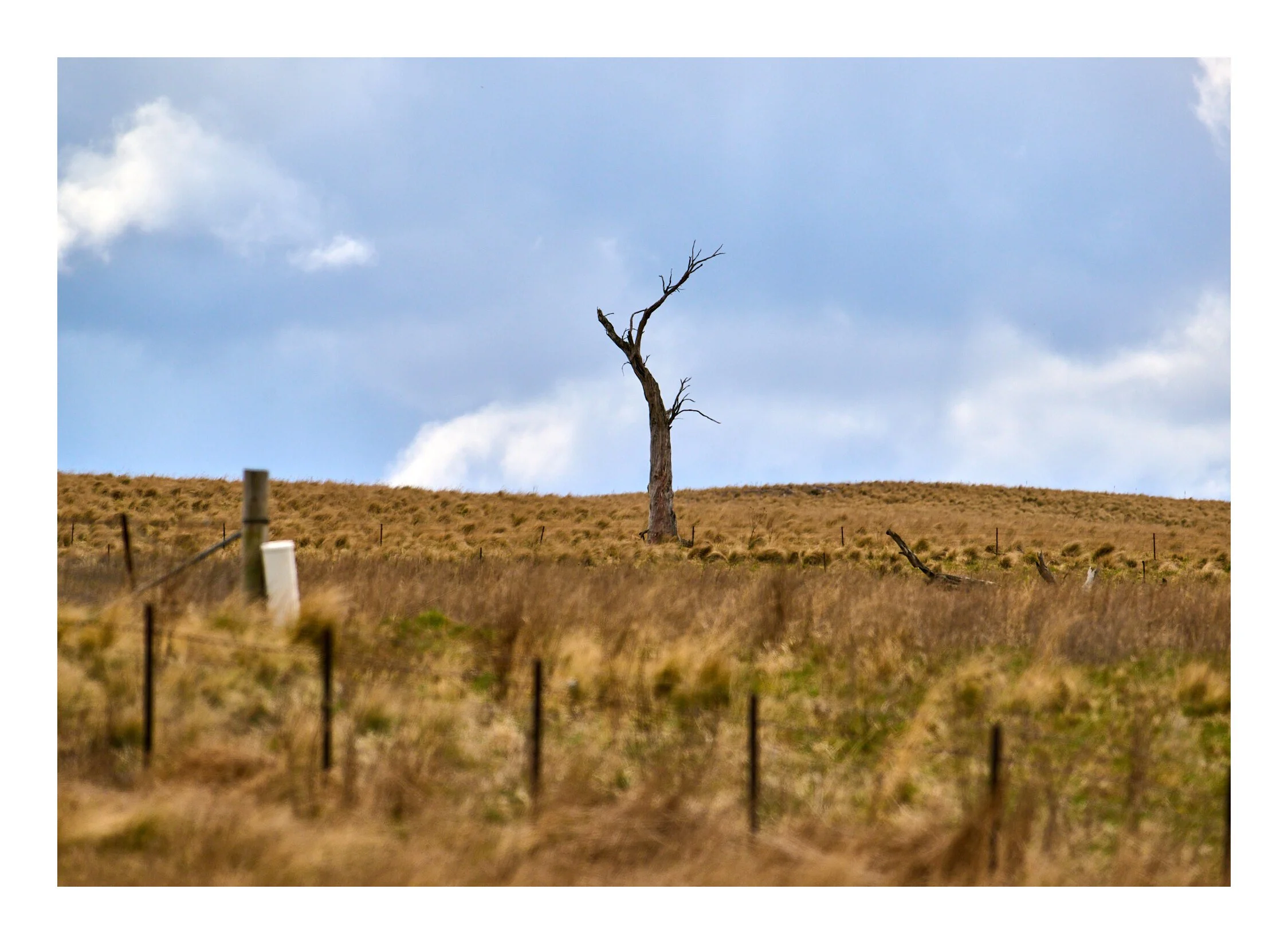 Bare Paddock Snowy Mountains NSW.jpg