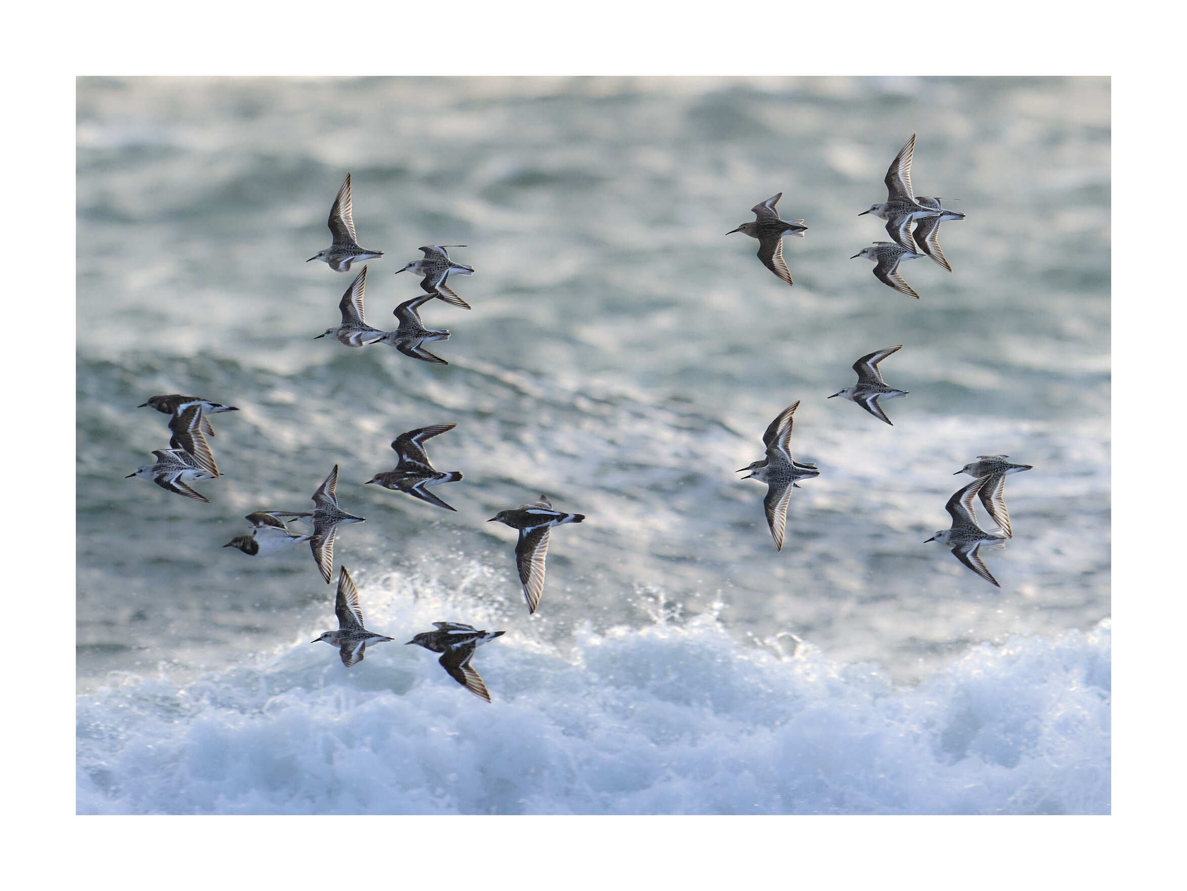 23-09-14 - North Uist Baleshare Beach 8.jpg