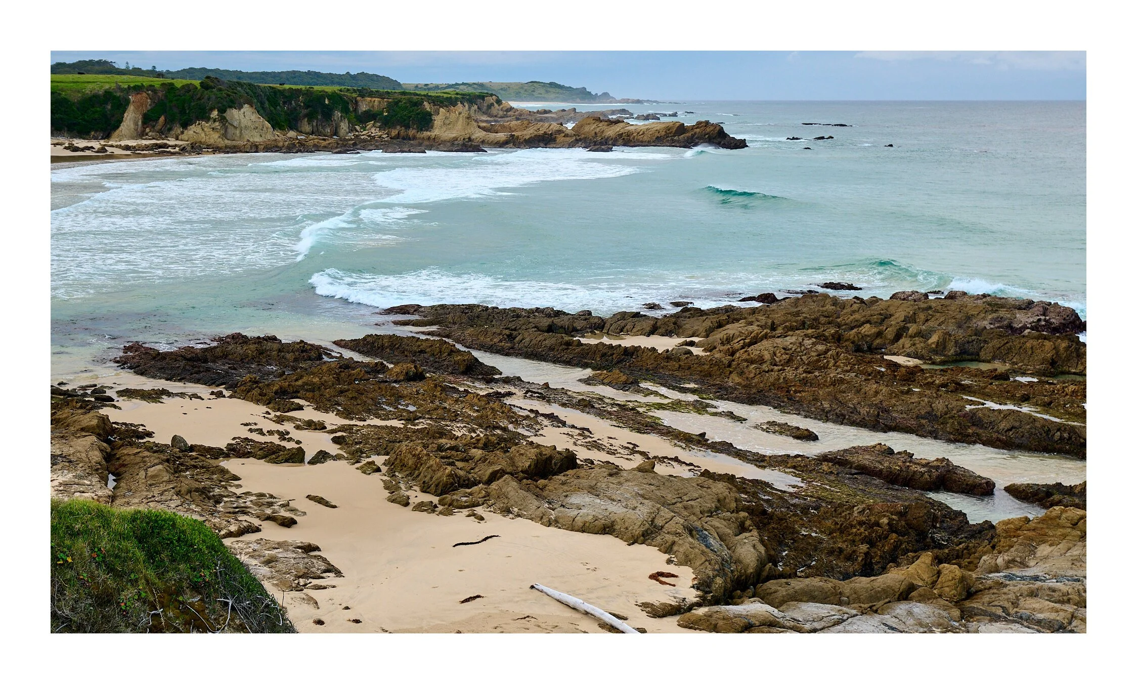 Bolonga Mar 25 2023 1081.jpg