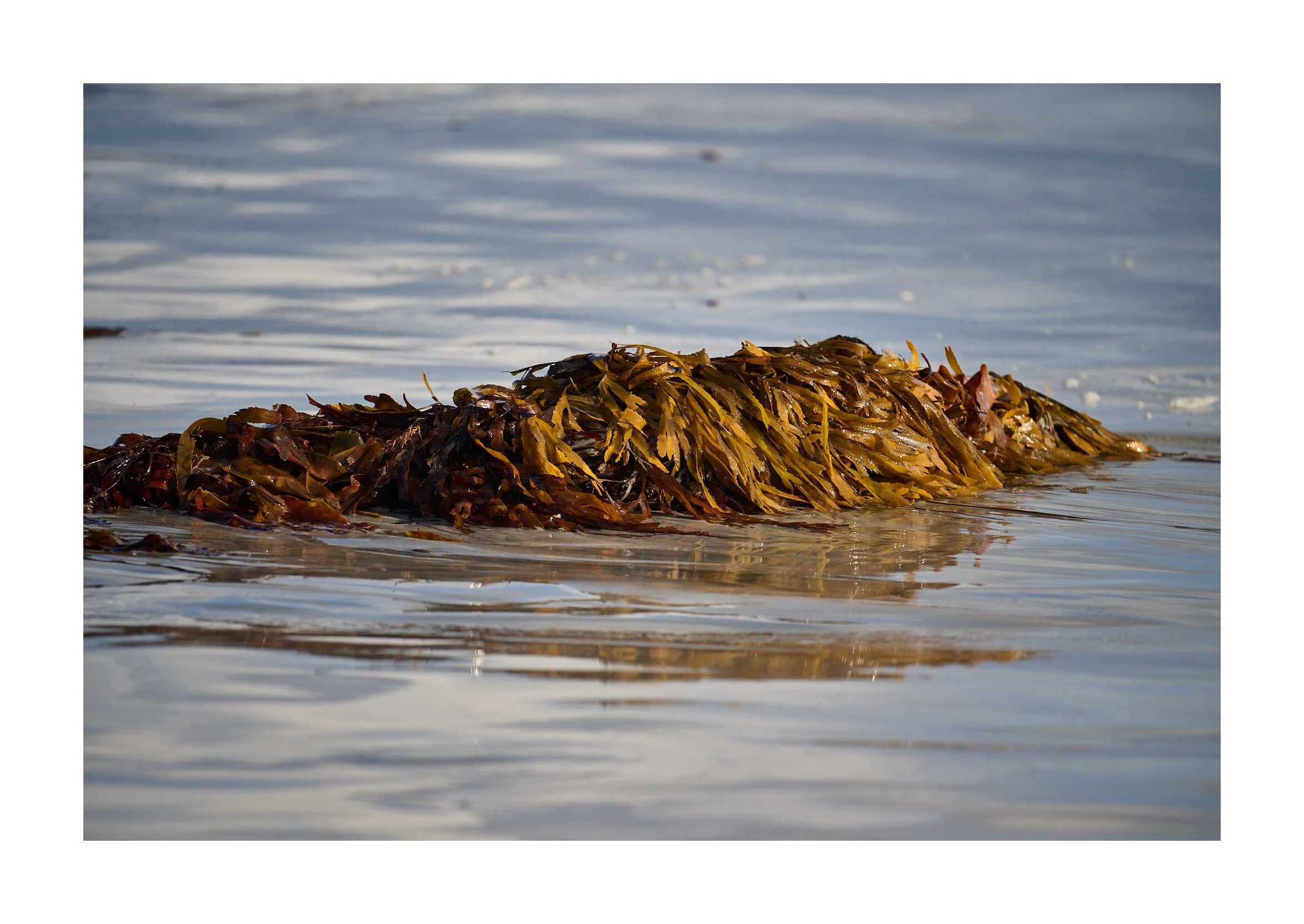 23-09-14 - North Uist Baleshare Beach 20 2.jpg