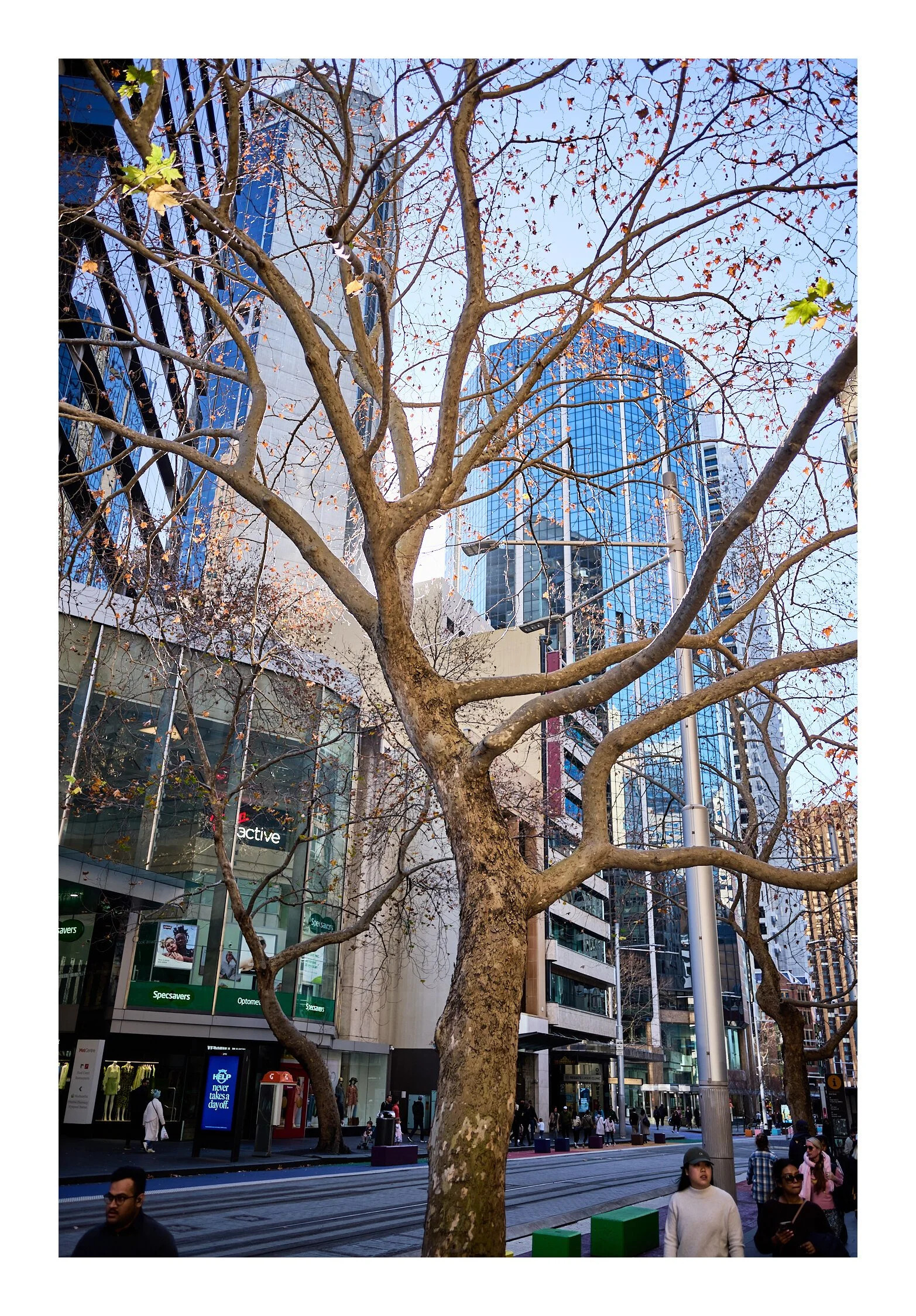 Sydney City July 9 2023   15.jpg